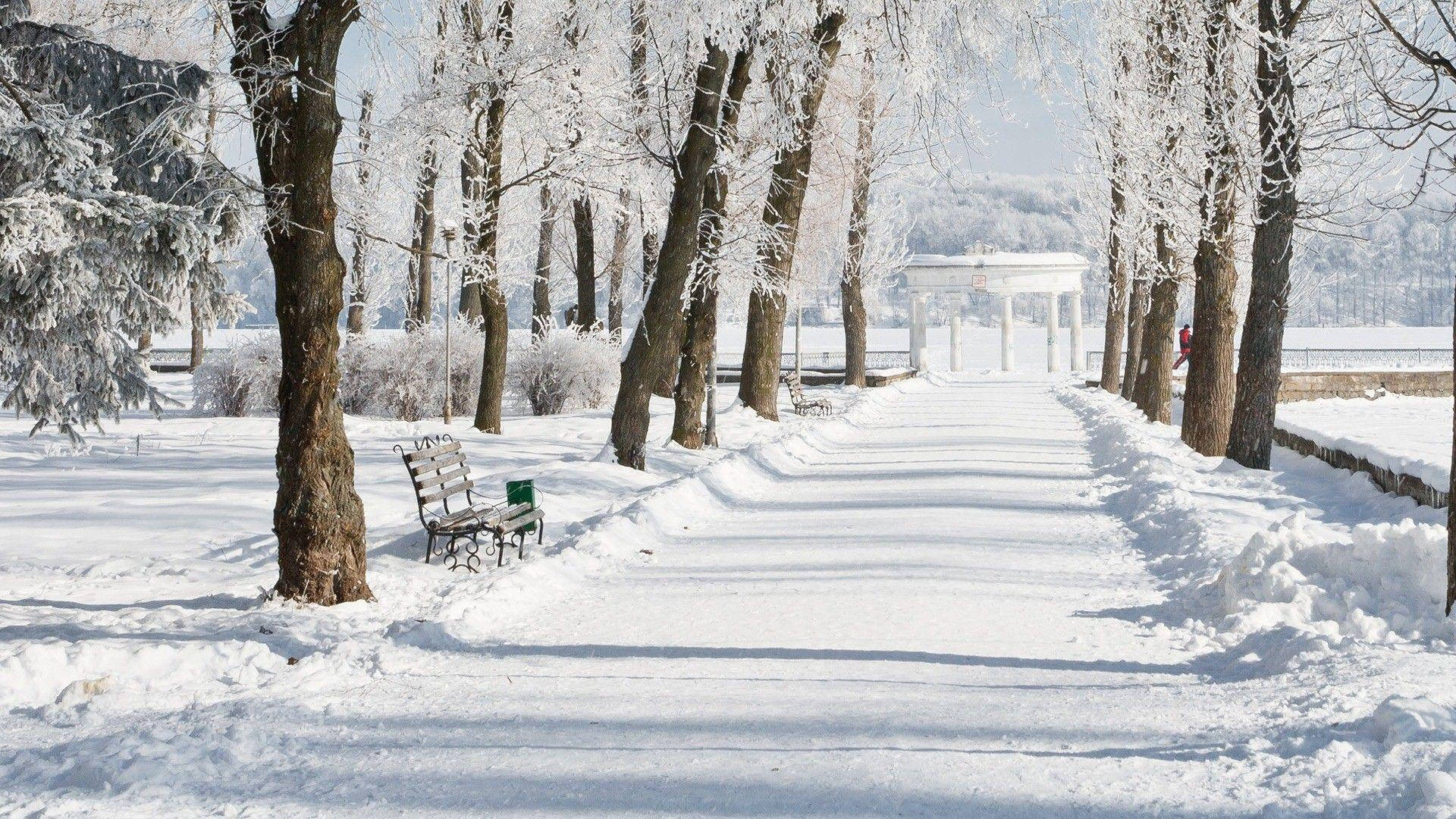 積雪的公園小徑，有長椅和結霜的樹木，通往一個涼亭。