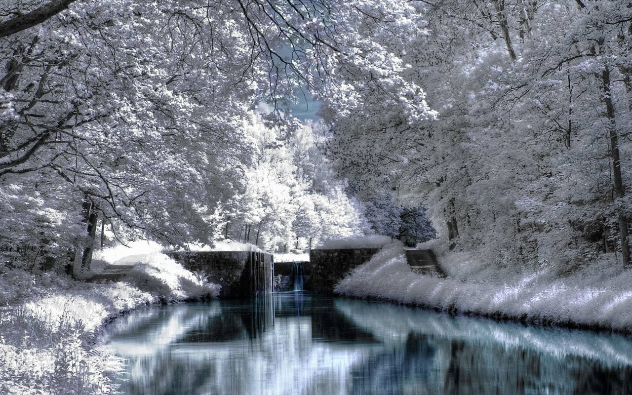 雪林中的平靜河流和小瀑布倒映著天空。