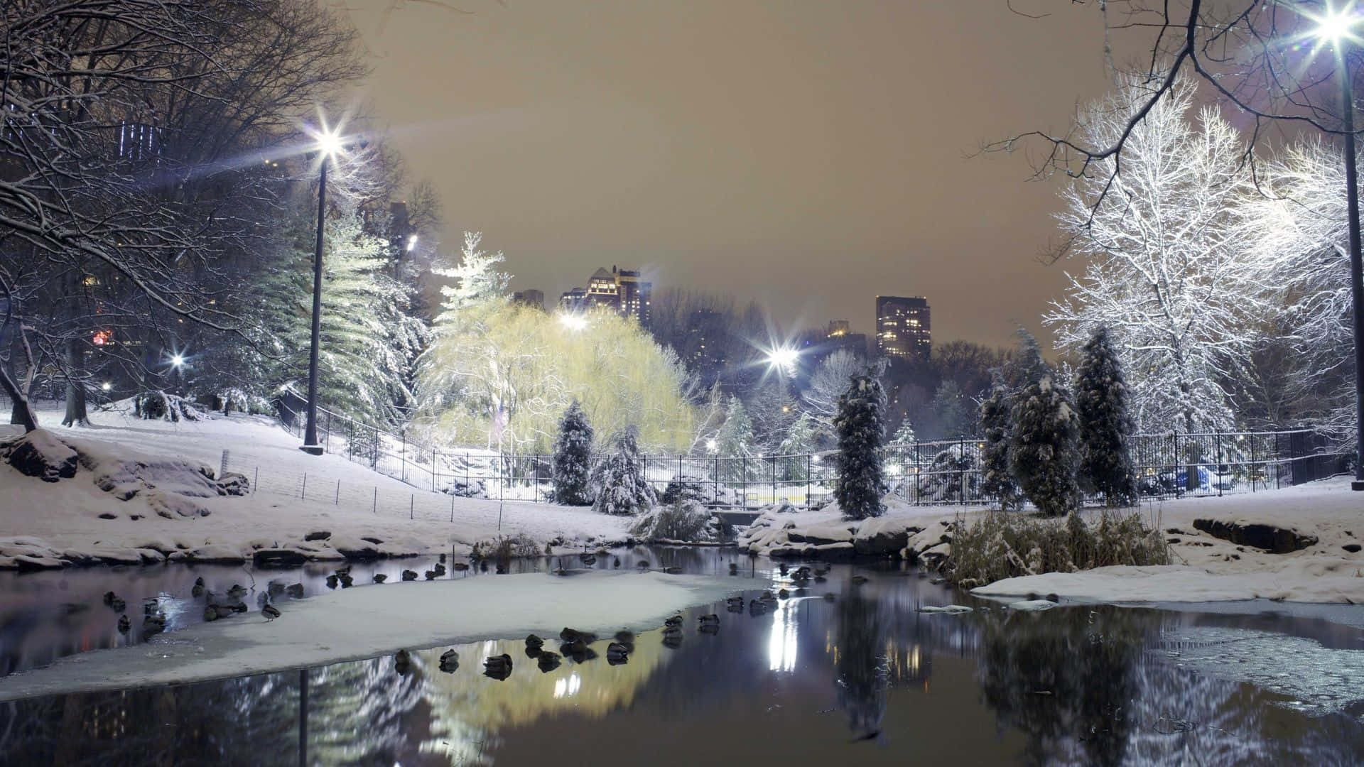 夜晚積雪的公園池塘，街燈和城市天際線倒影