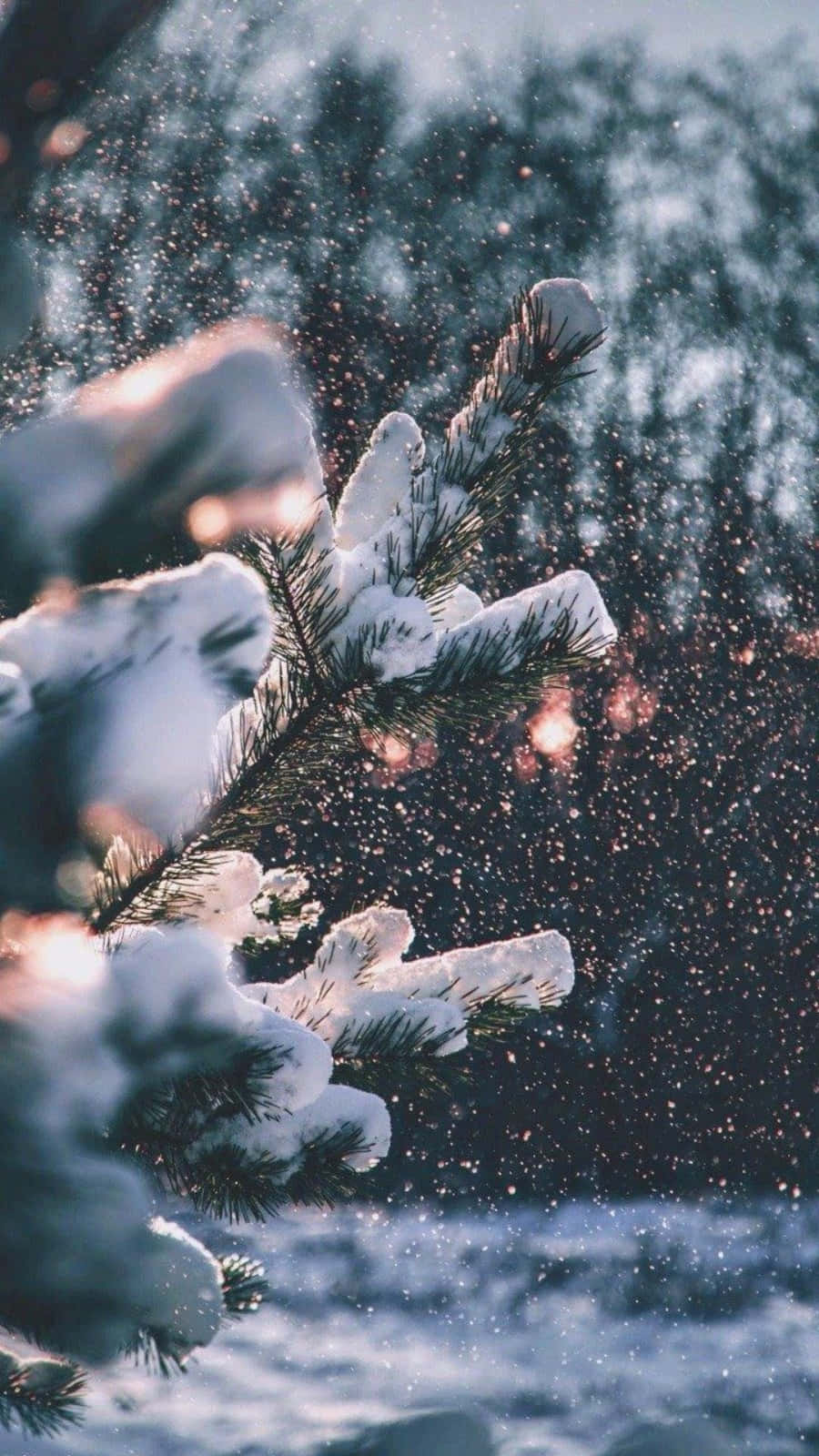 冬日森林暮色中，積雪的松樹枝條與飄落的雪花。