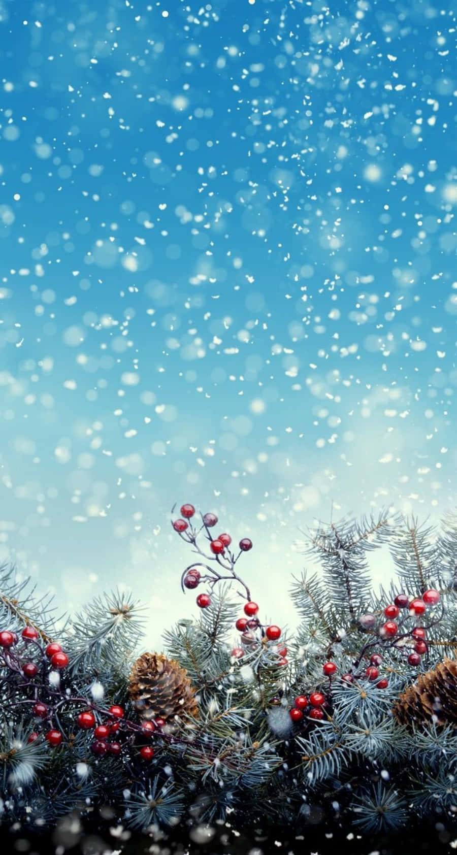 節日常青樹枝，飾有紅色漿果和松果，在飄雪和藍天下。