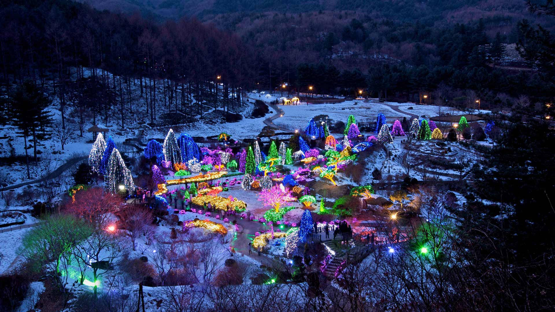 冬季聖誕彩色公園 壁紙 — 夜晚被雪覆蓋的山坡，被裝飾樹木和小徑的鮮豔彩色燈光照亮。