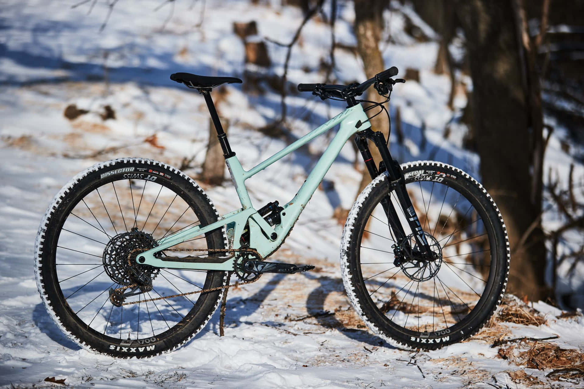 薄荷綠色山地單車，輪胎上有雪，停在雪地森林中。