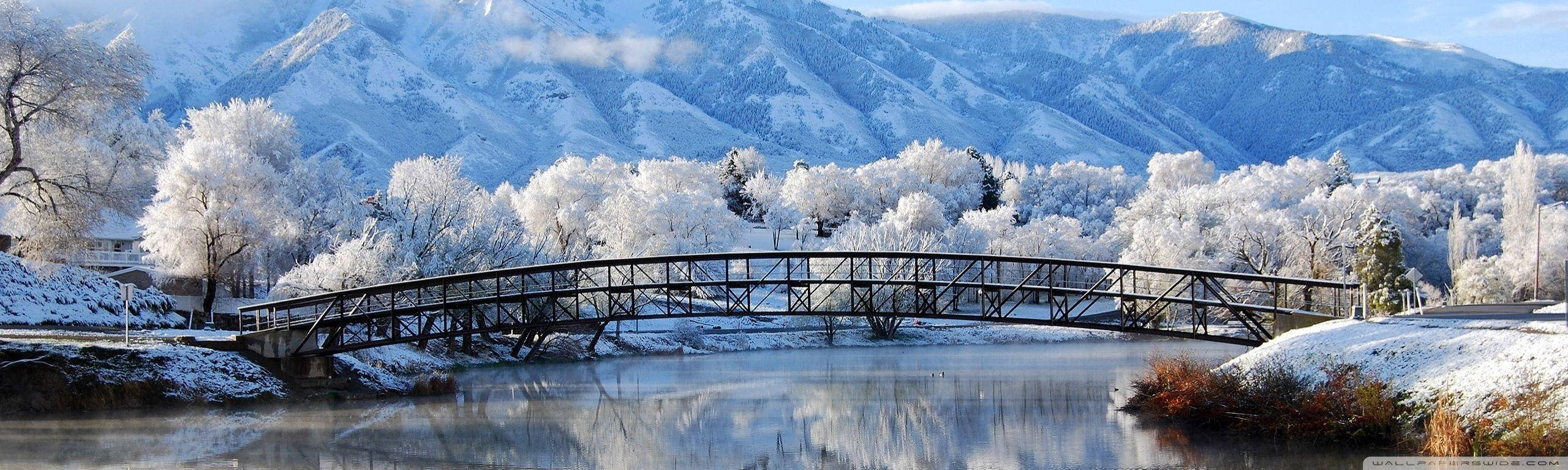 雪橋橫跨河流，有結霜的樹木和山脈在後
