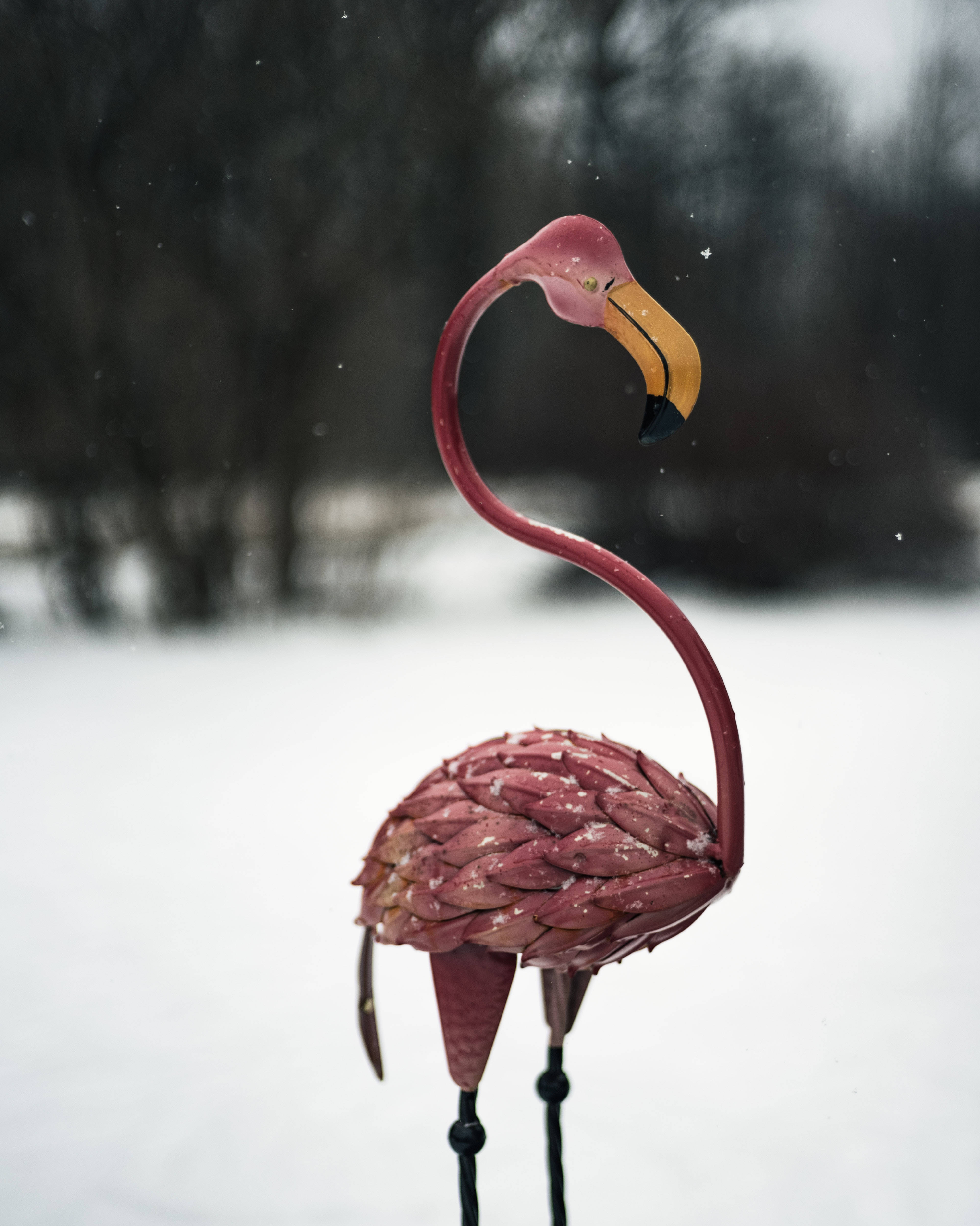 冬季雪地粉紅火烈鳥 壁紙 — 一個粉紅色金屬火烈鳥花園裝飾品立在雪地庭院中，背景有飄落的雪花和模糊的深色樹木。