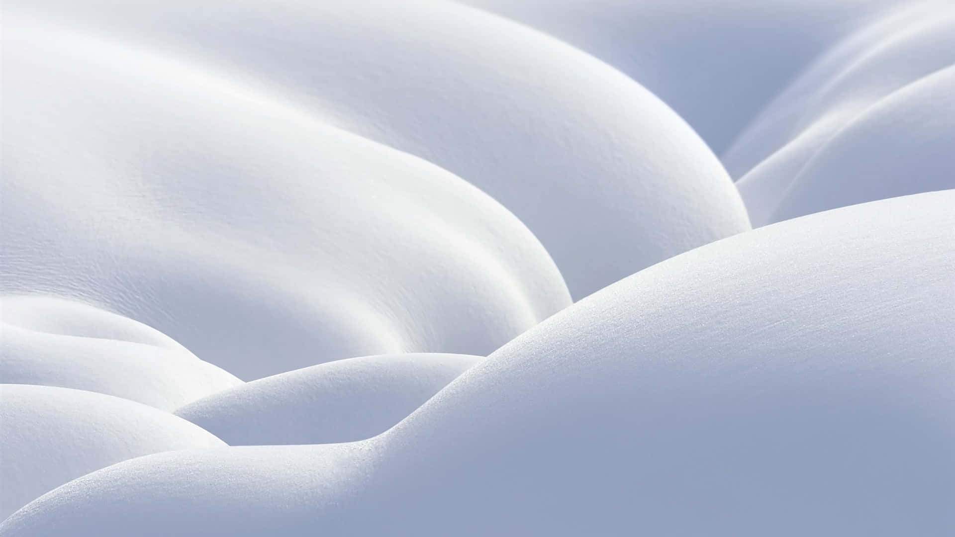柔軟的雪堆，帶有柔和的曲線和清涼的藍色陰影，在柔和光線下。