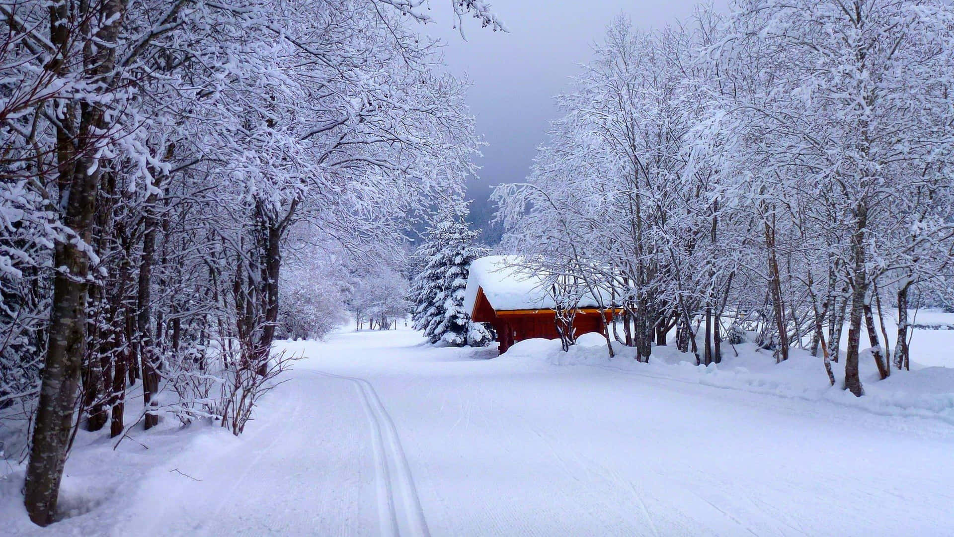 冬天積雪的森林小徑通向紅色小屋。