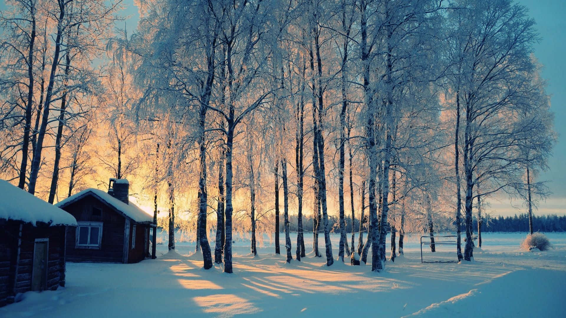 冬季雪覆森林 壁紙 — 一間舒適的木屋坐落在白雪覆蓋的白樺樹林中，沐浴在金色的日出光芒中。