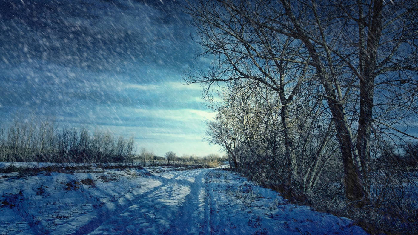 被雪覆蓋的鄉村小路，兩旁是光禿禿的樹木，上方是藍色的冬季天空。