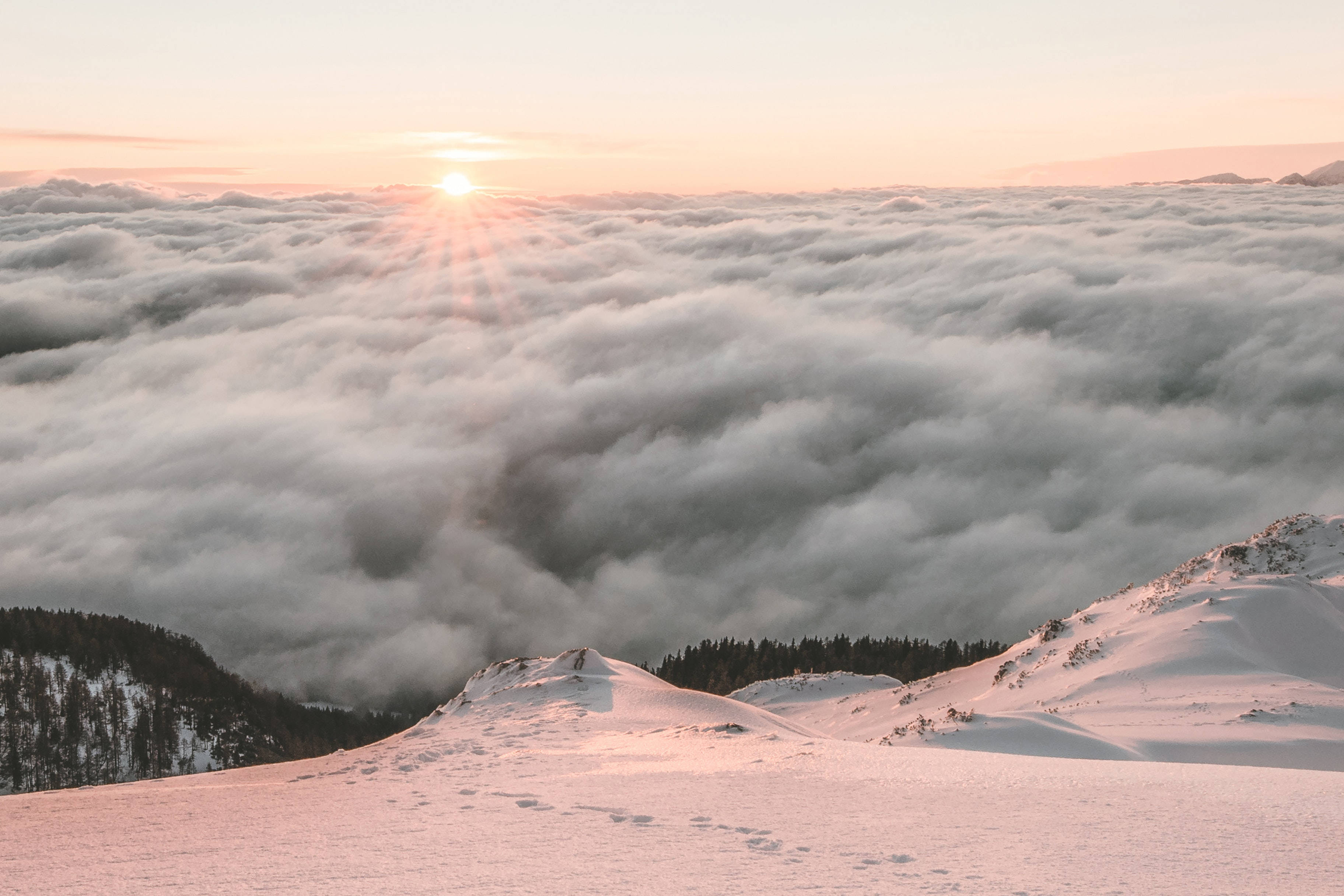冬季雲海 壁紙 — 日出在雲海上閃耀，前景是積雪的山峰。