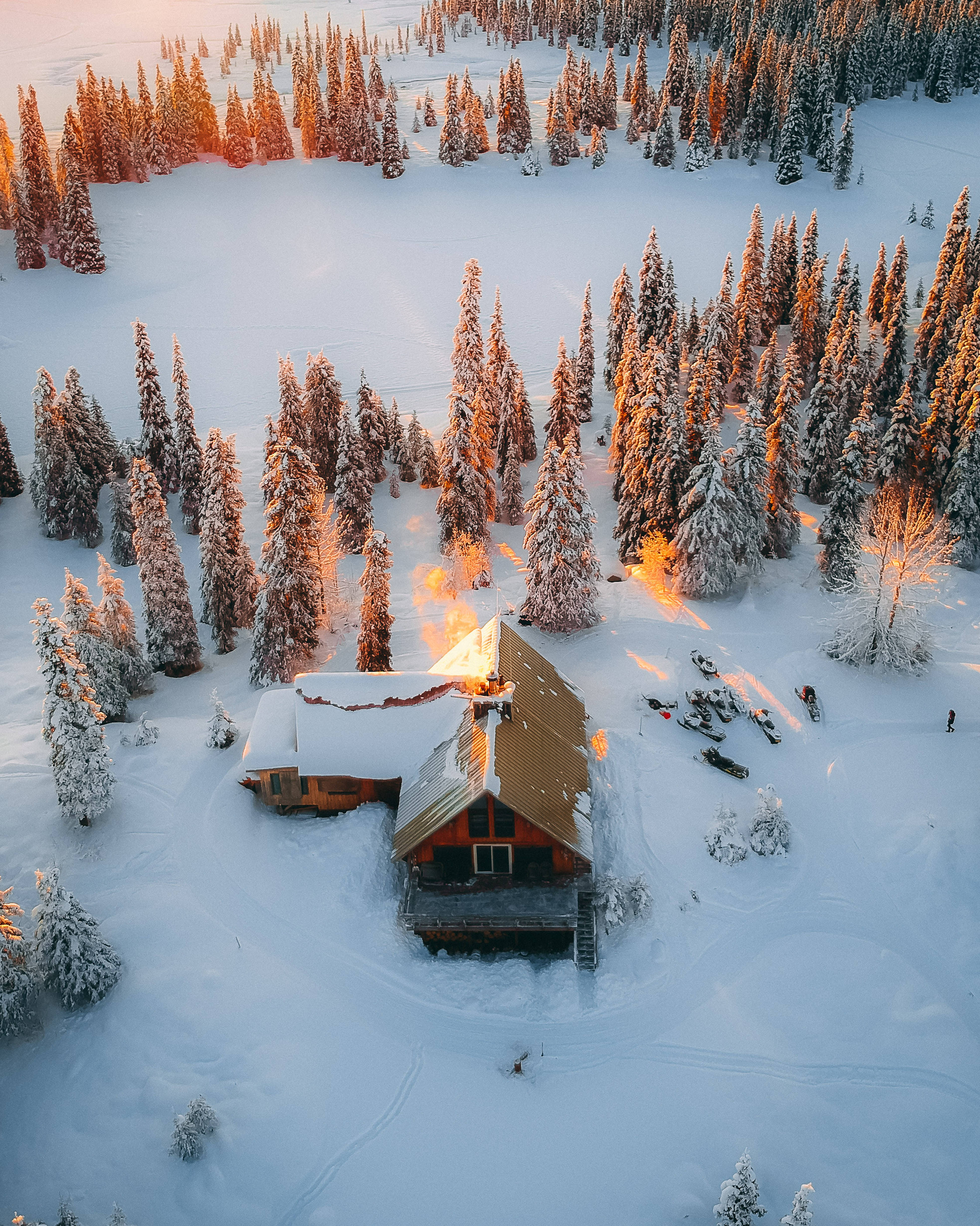 冬季霜凍屋舍 壁紙 — 從空中俯瞰，一間舒適的木屋坐落在白雪覆蓋的松樹林中，沐浴在金色的日出光芒中。