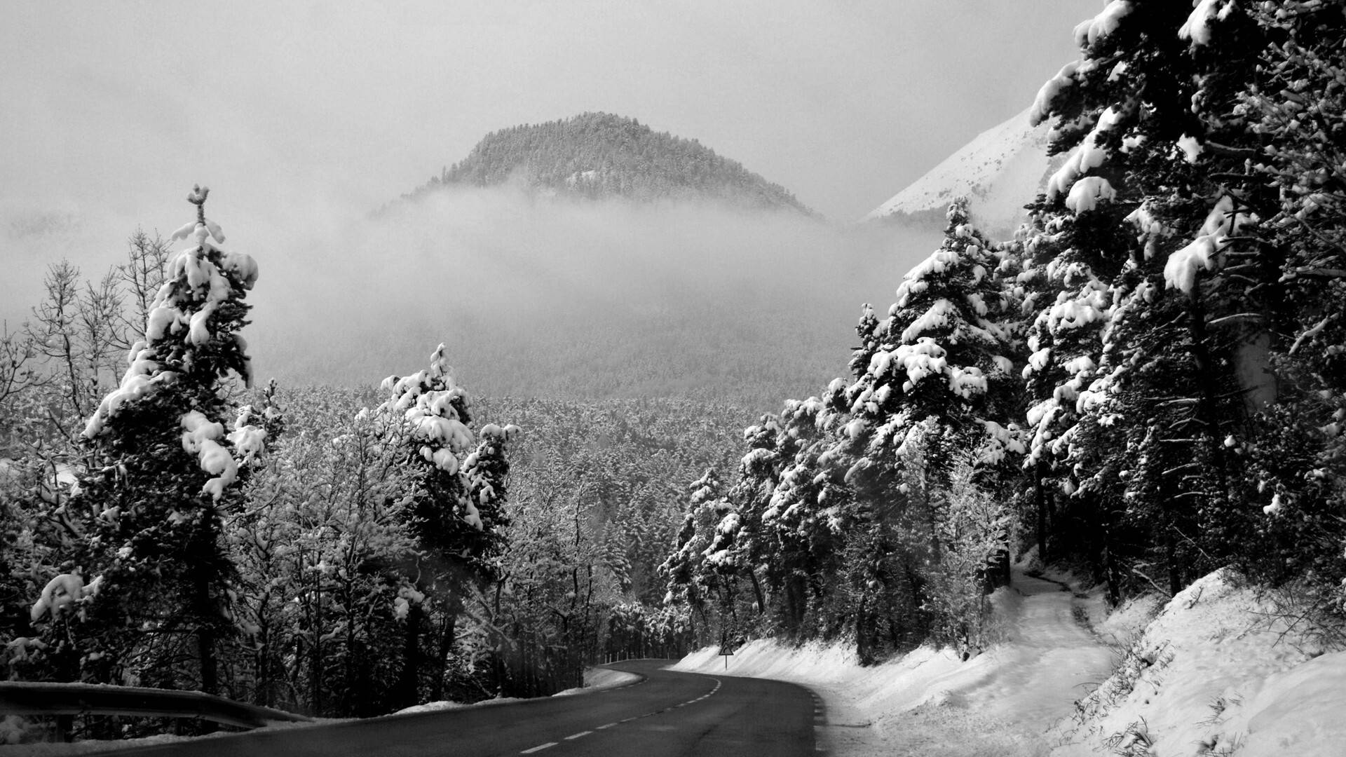 冬季，白雪覆蓋的森林道路蜿蜒穿過霧氣朦朧的山巒。 — 冬季 壁紙
