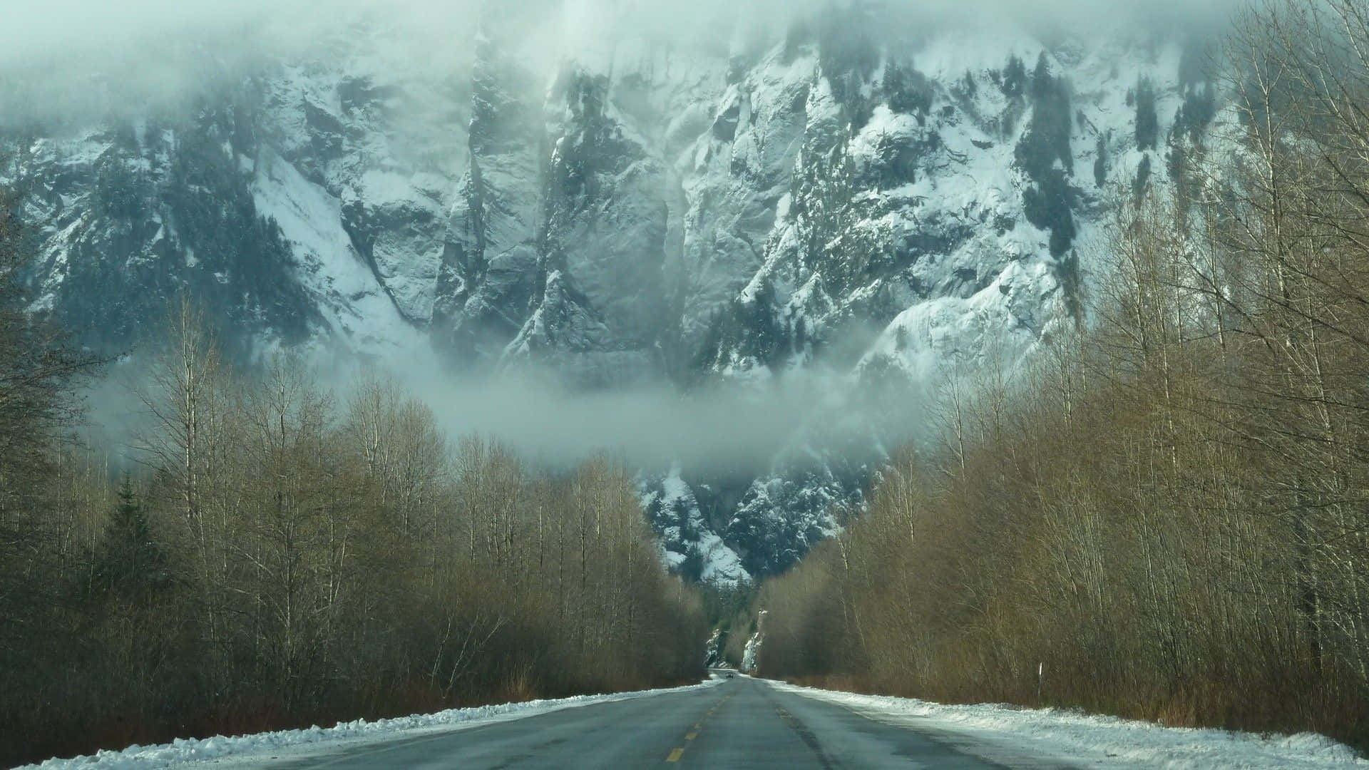蜿蜒的道路穿過冬季森林，通向霧中的雪山。