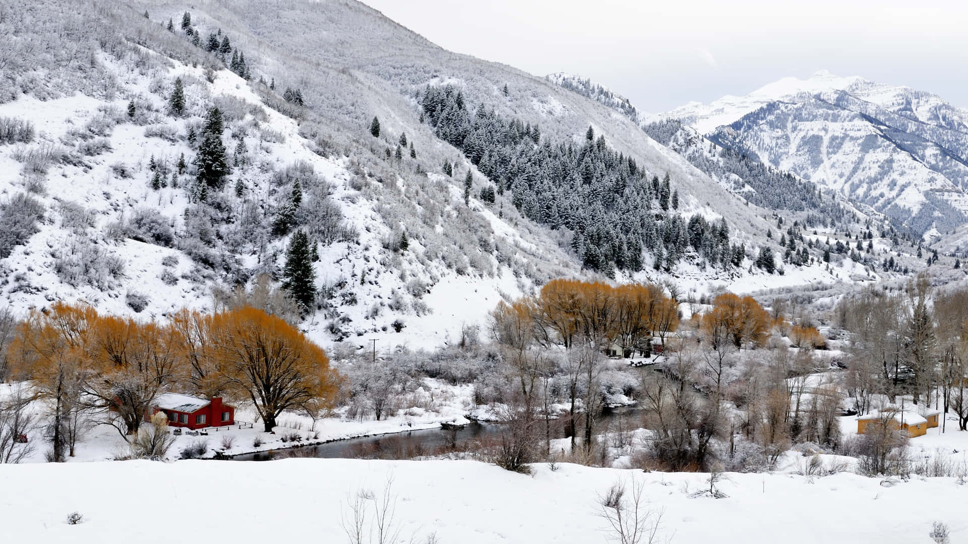 雪山、紅色小屋和河邊金色樹木。