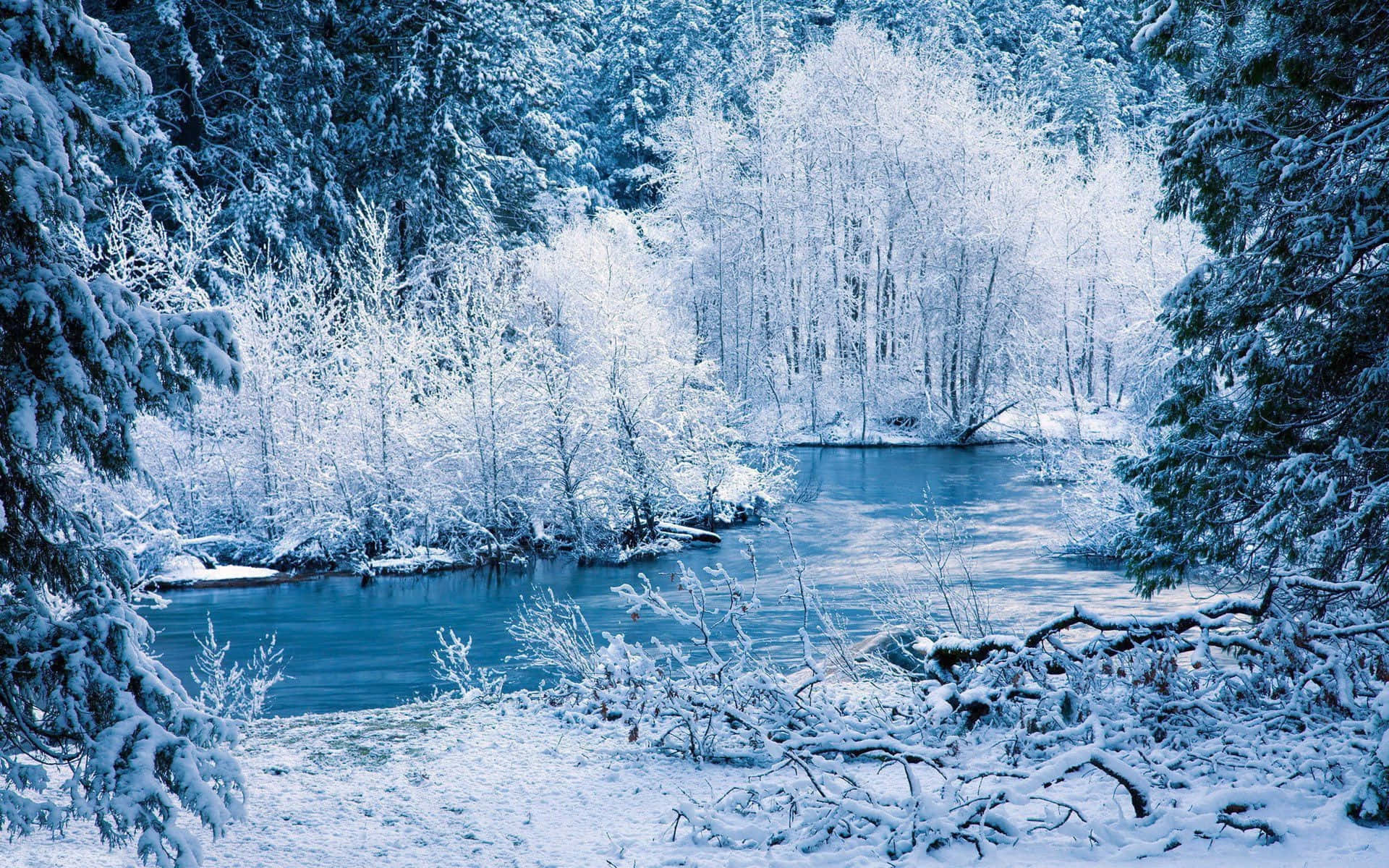 冬日仙境 壁紙 — 一條寧靜的冬季河流蜿蜒穿過白雪覆蓋的樹木，在清澈的藍天下。