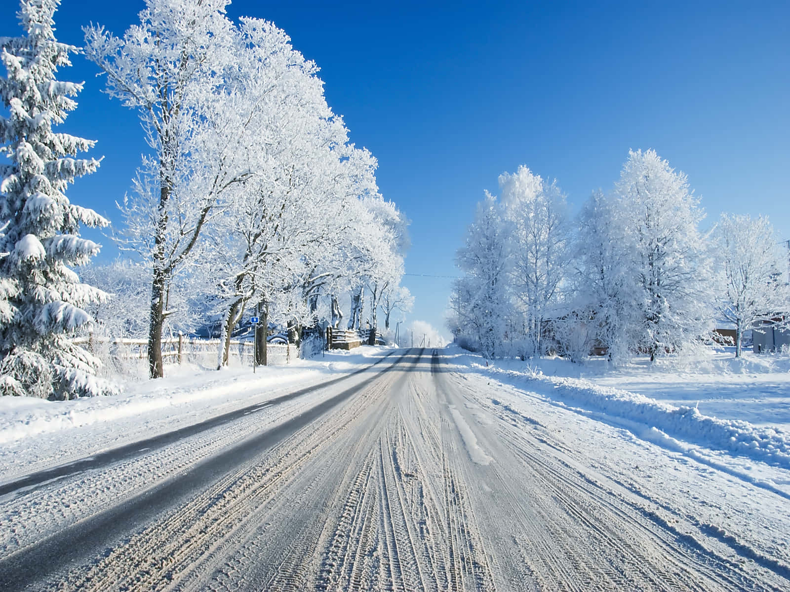 雪路上結霜的樹木排列兩旁，明亮的藍天在上方。