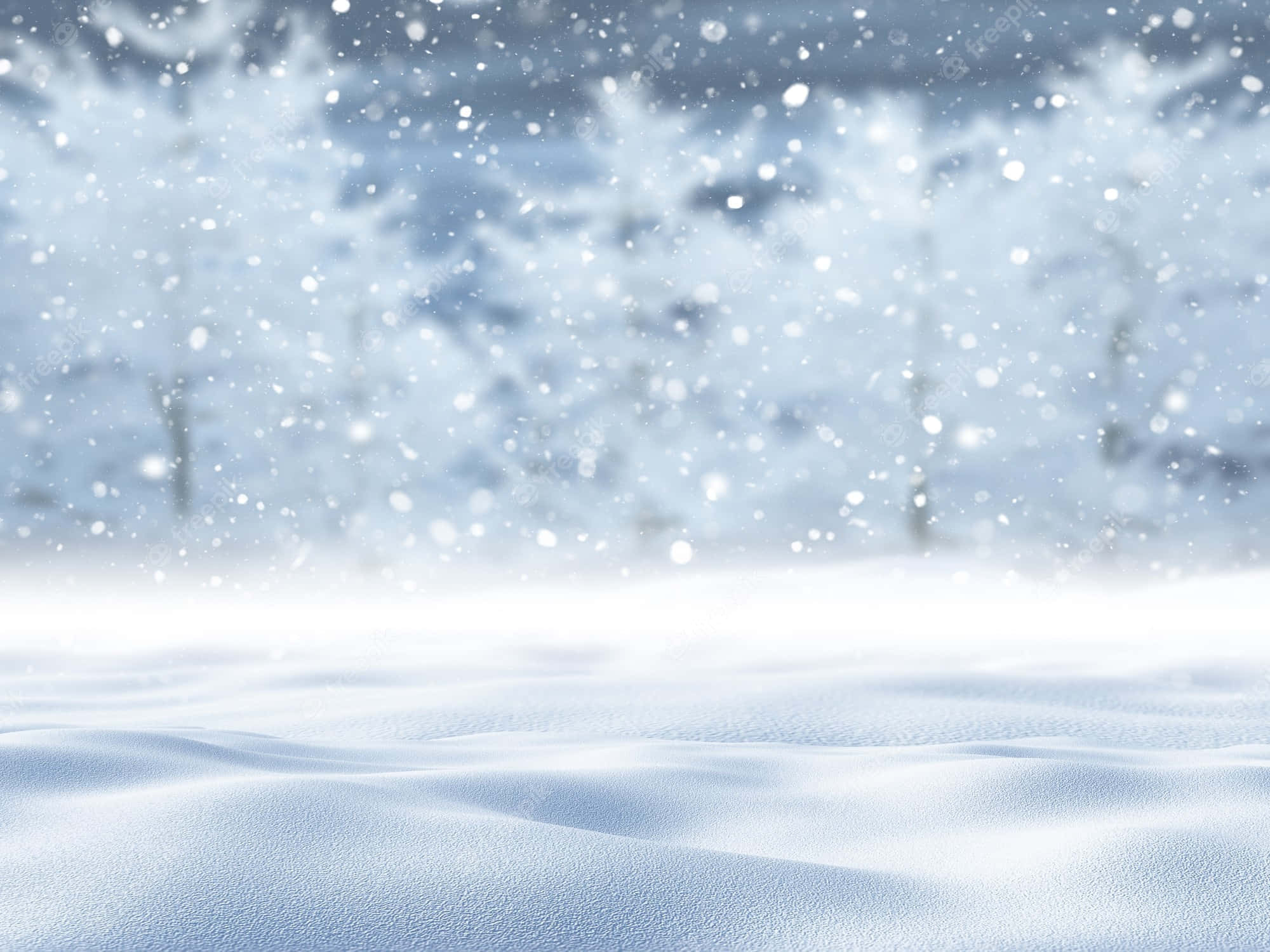 冬日仙境 壁紙 — 雪花輕輕飄落在柔軟的新雪上，背景是模糊的冬日樹木。