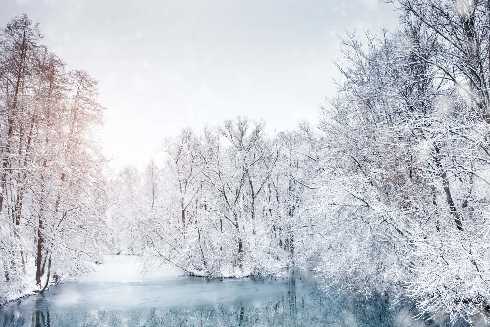 白雪覆蓋的樹木框住了結冰的河流，在蒼白的冬日天空下。