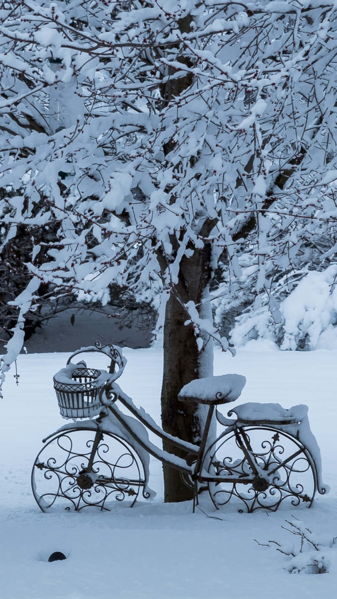 一輛覆蓋著雪的華麗金屬單車在冬天靠在一棵積雪的樹上。