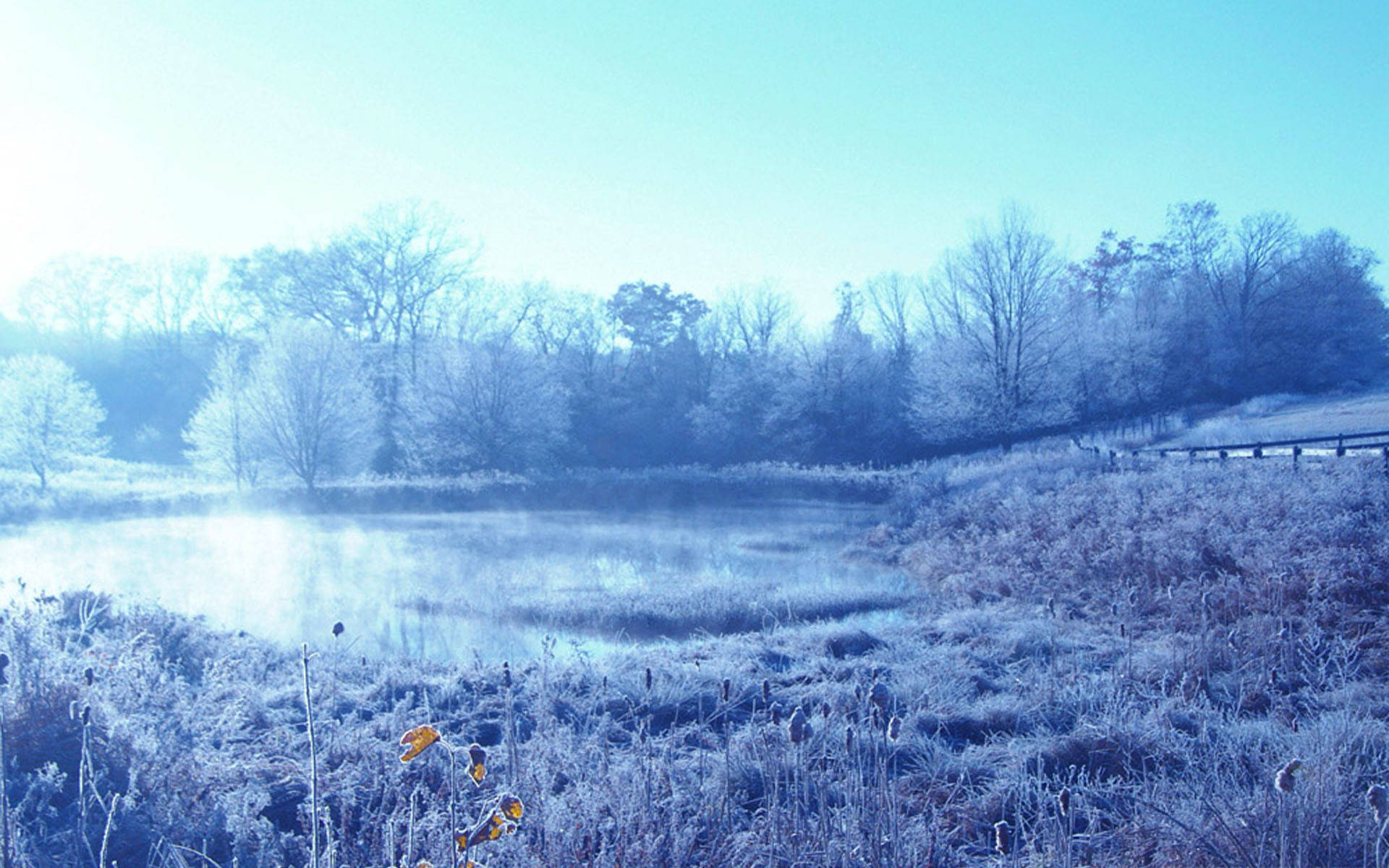 冬日冷藍風景 壁紙 — 霜覆蓋著寧靜的湖泊和周圍的草叢，遠處有光禿禿的樹木，天空清澈湛藍。