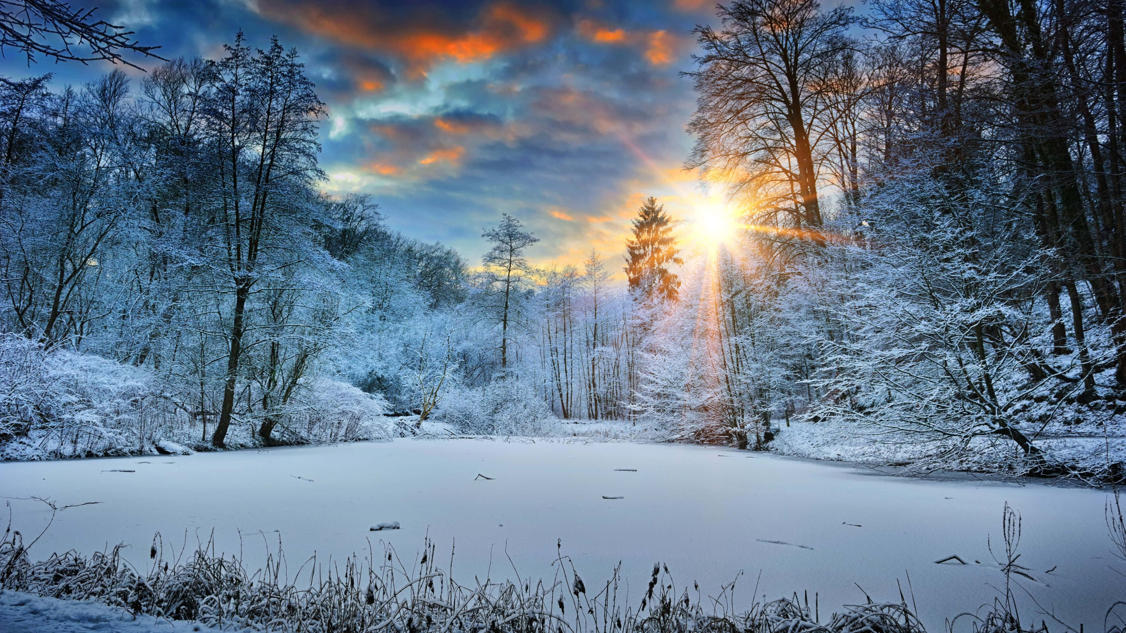 Beautiful Winter 桌布 壁紙 — 冬日日出時，陽光穿透覆蓋著雪的樹木，照耀在結冰的湖面上。