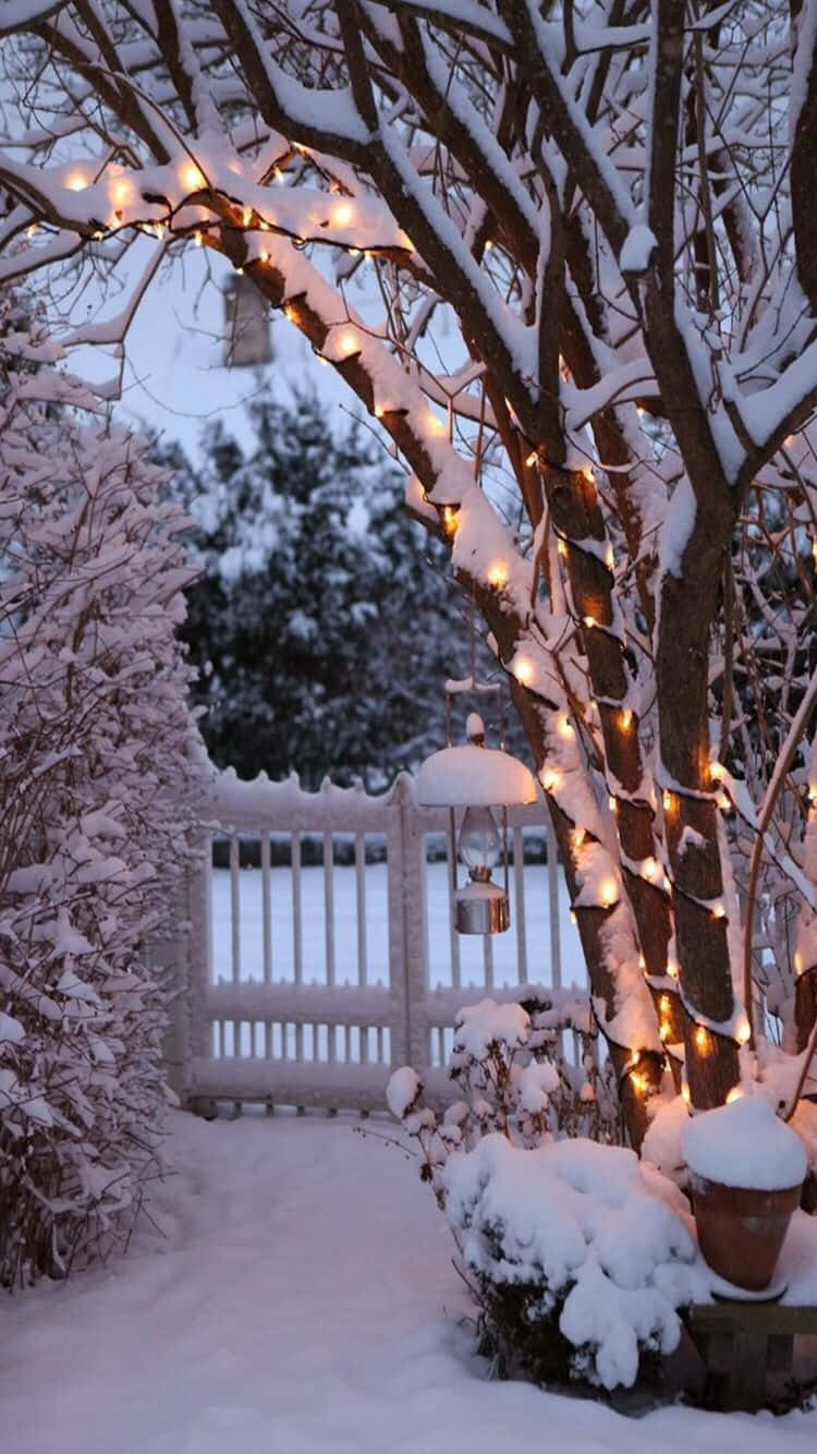 白雪覆蓋的花園小徑在黃昏時分被串燈和燈籠照亮。