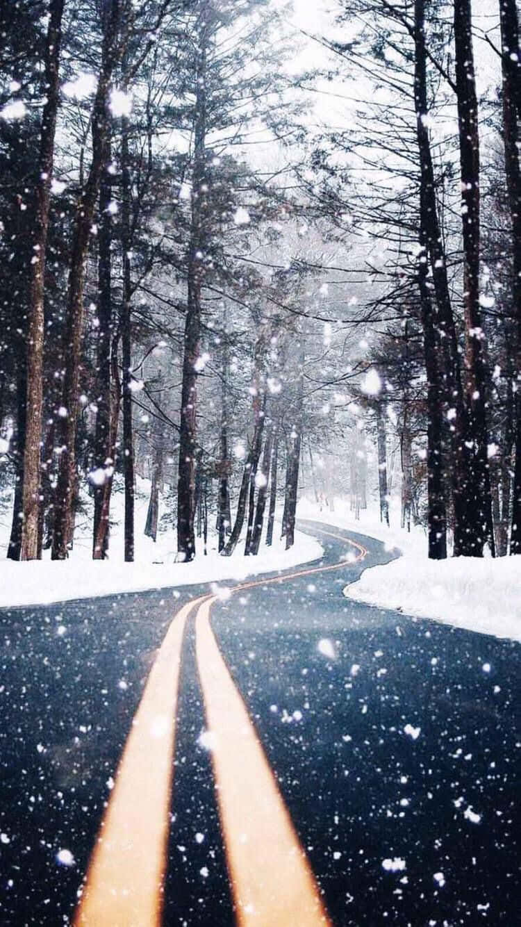 積雪的道路蜿蜒穿過森林，雪花飄落。