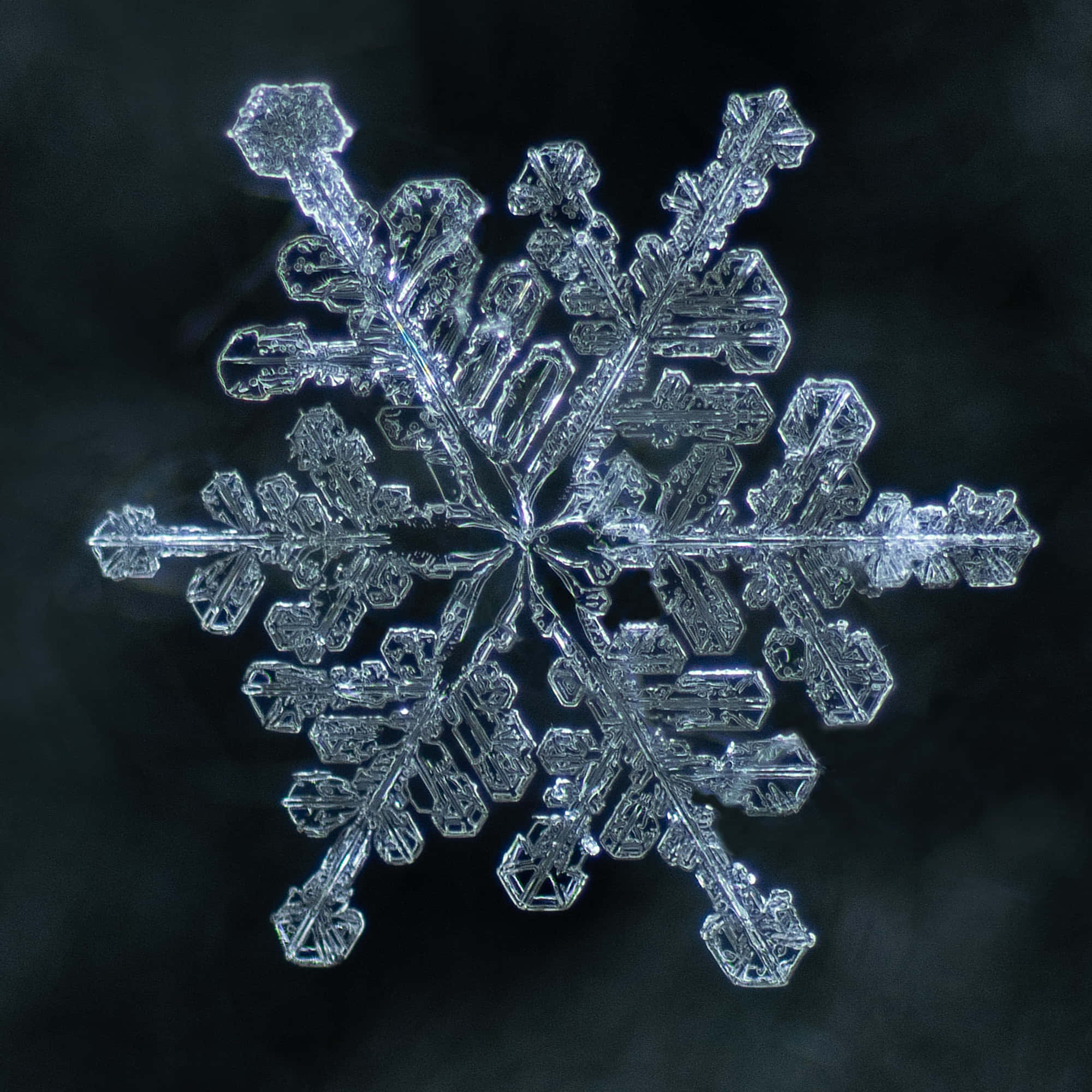冬日清冽天際的精緻雪花 壁紙 — 一片精緻的雪花，有六個對稱的臂，在深色紋理背景上發光。