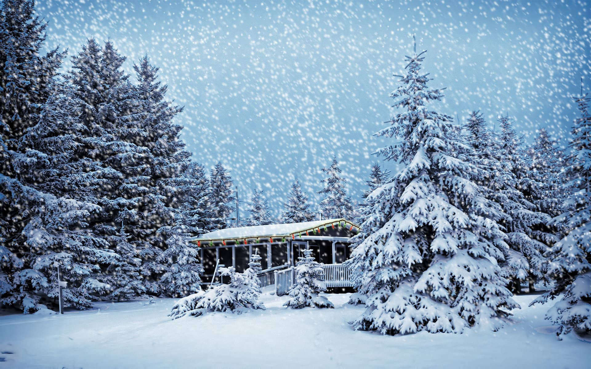 雪 桌布 壁紙 — 冬日裡，一間舒適的小屋坐落在積雪的常青樹中，伴隨著輕柔的降雪。