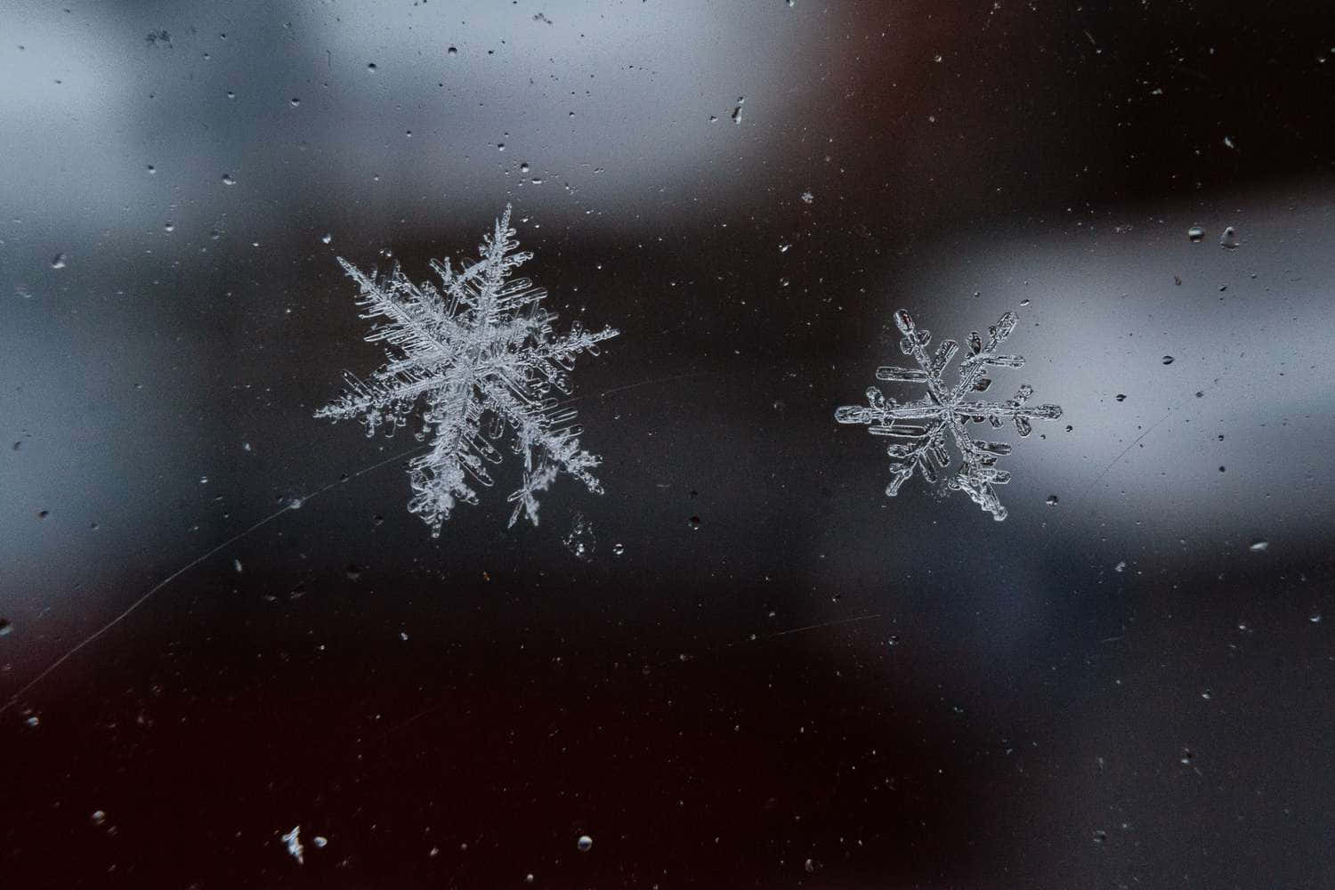 雪花圖片