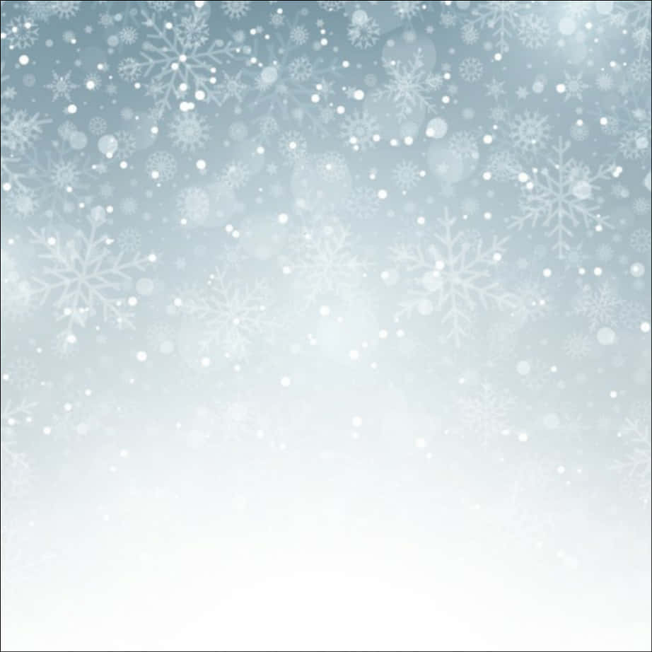 冬日雪花背景 壁紙