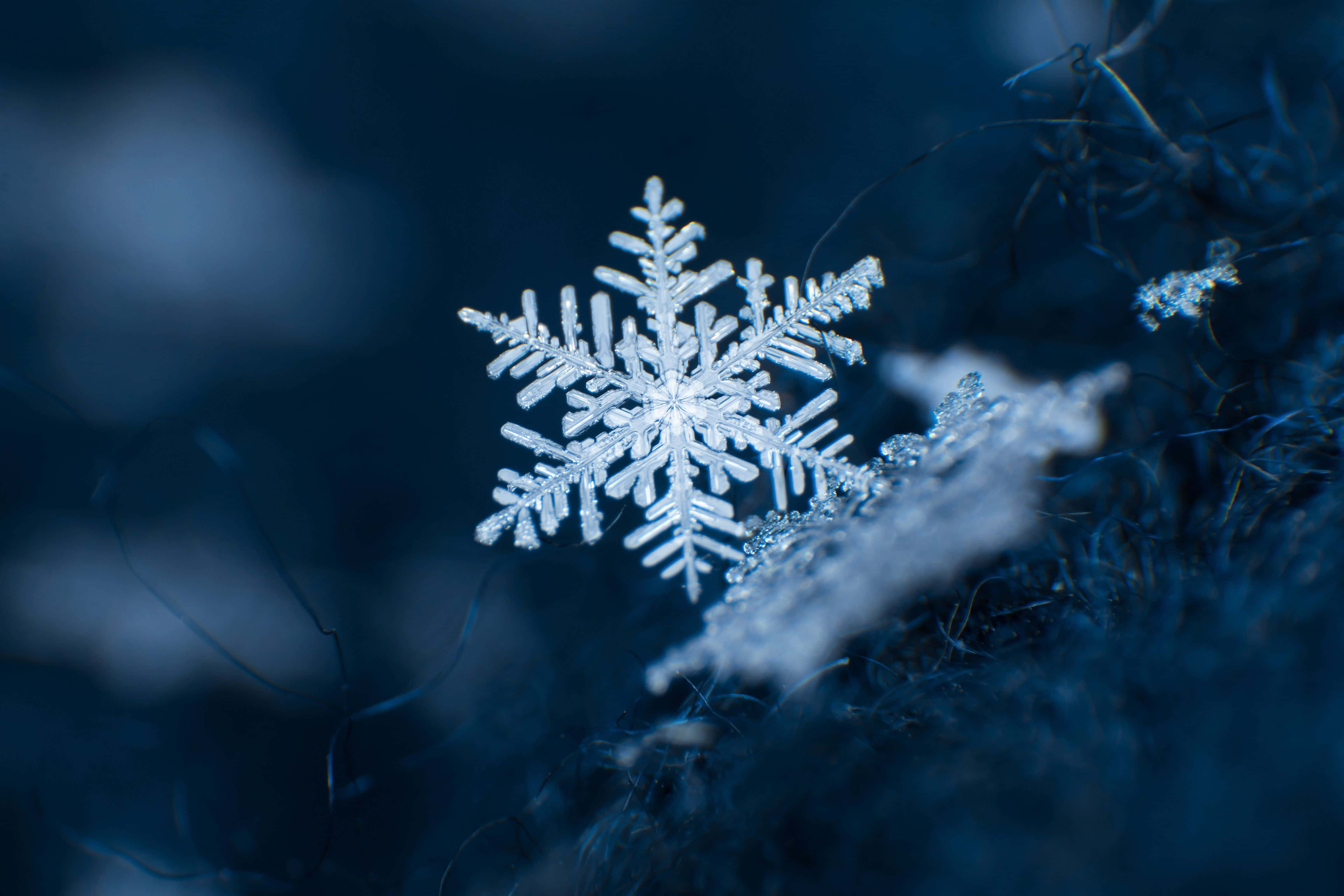 冰下之美：閃耀的雪花 壁紙 — 一片精緻的雪花在冷藍色燈光下，輕輕地落在深色紋理表面上。