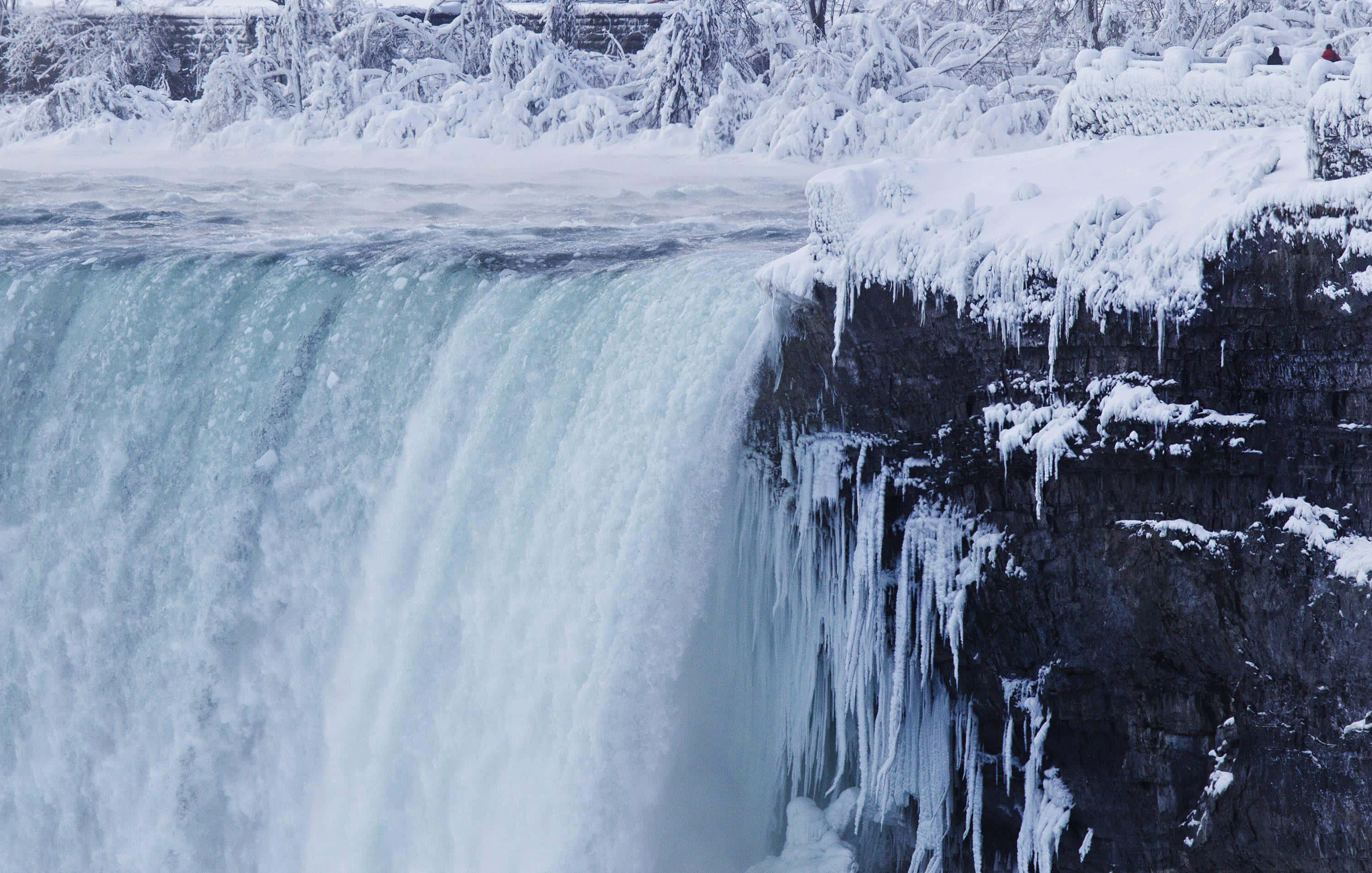 Niagara Falls 桌布 壁紙 — 冰凍瀑布從冰崖上傾瀉而下，背景是積雪的樹木。