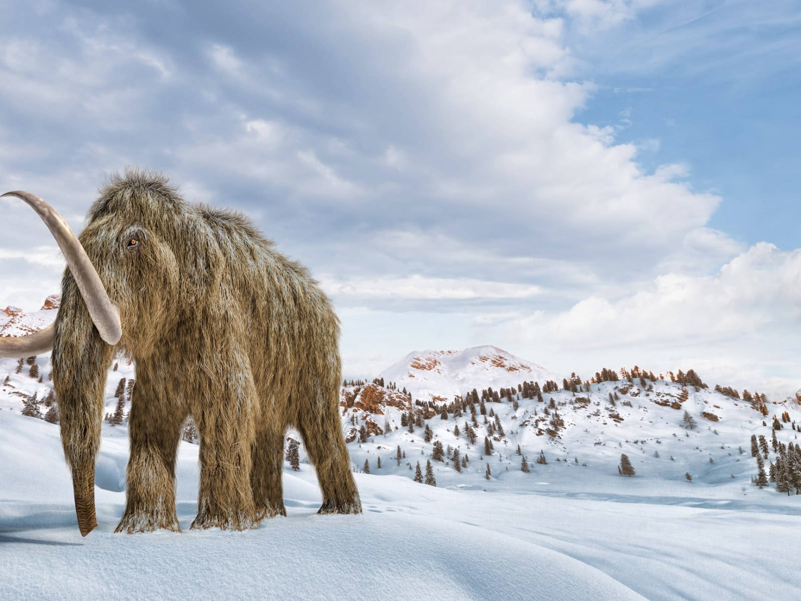 冰原上的巨形猛犸象 壁紙 — 一頭長毛猛獁象站在白雪皚皚的山地景觀中，天空多雲而藍，遠處有松樹。