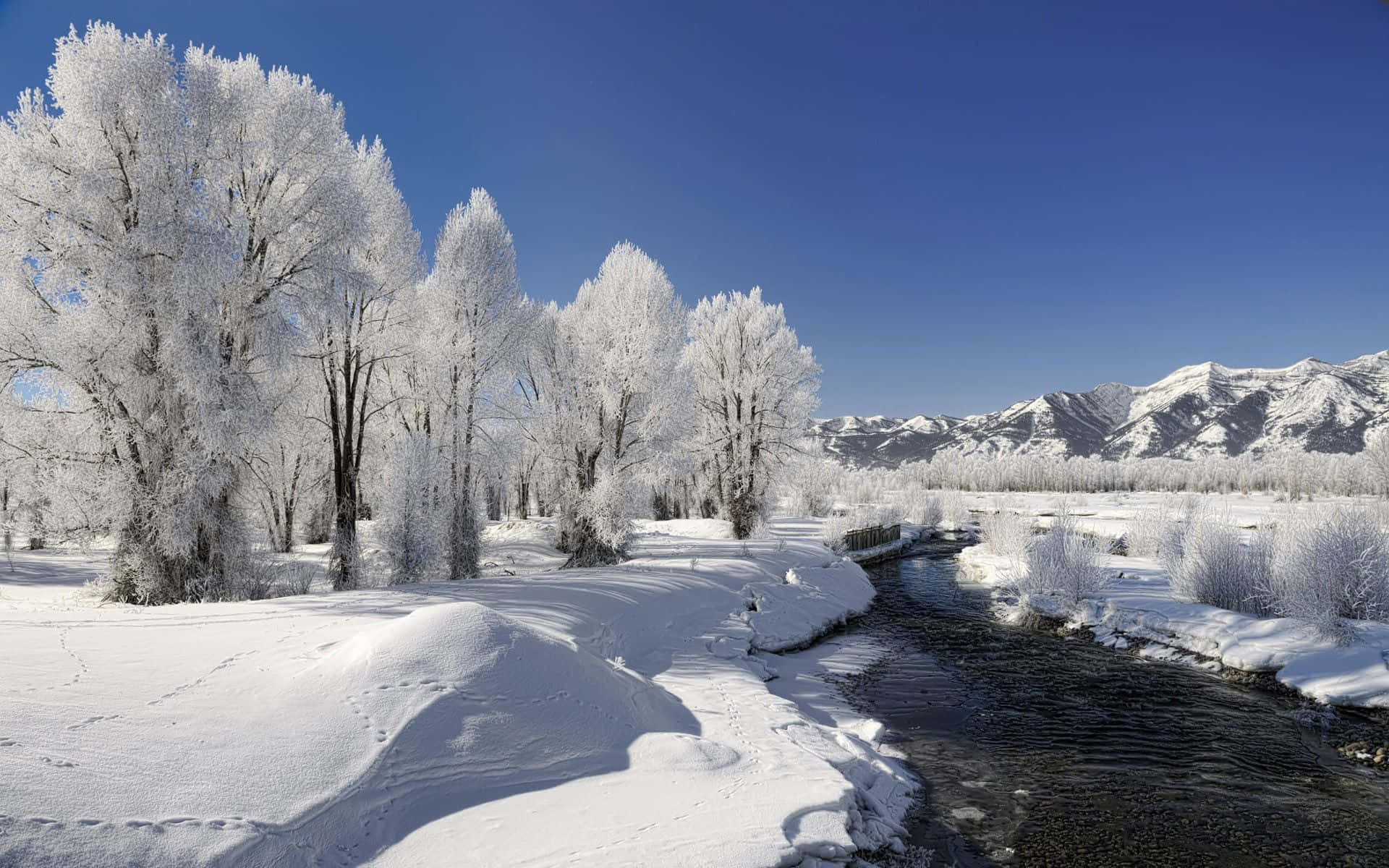 寒冷的冬日景象，有白雪覆蓋的樹木、流淌的河流，以及在晴朗藍天下的遠山。