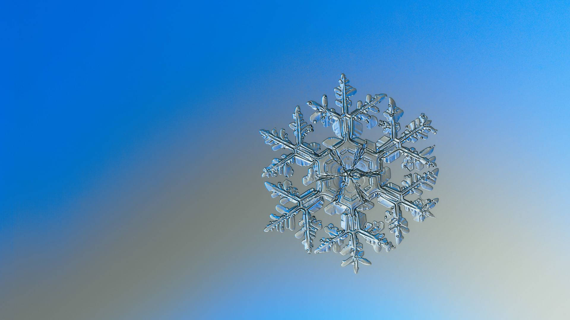 一片細節豐富的雪花懸浮在藍色和米色漸變的天空中。