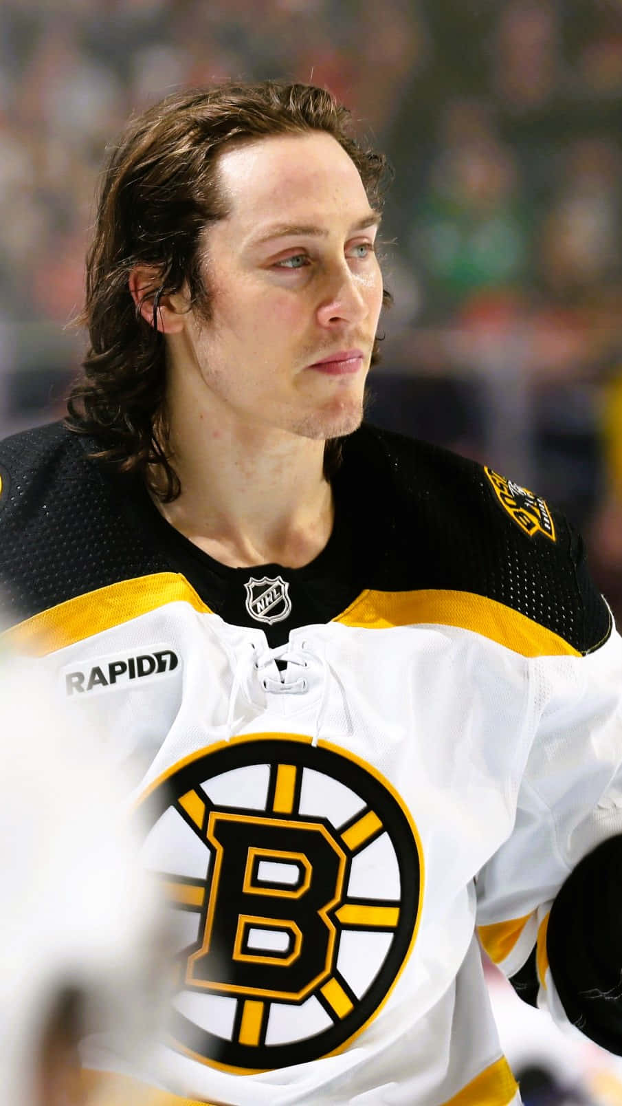 Tyler Bertuzzi 桌布 壁紙 — 冰球球員身穿波士頓棕熊隊球衣，在比賽中側視的特寫。