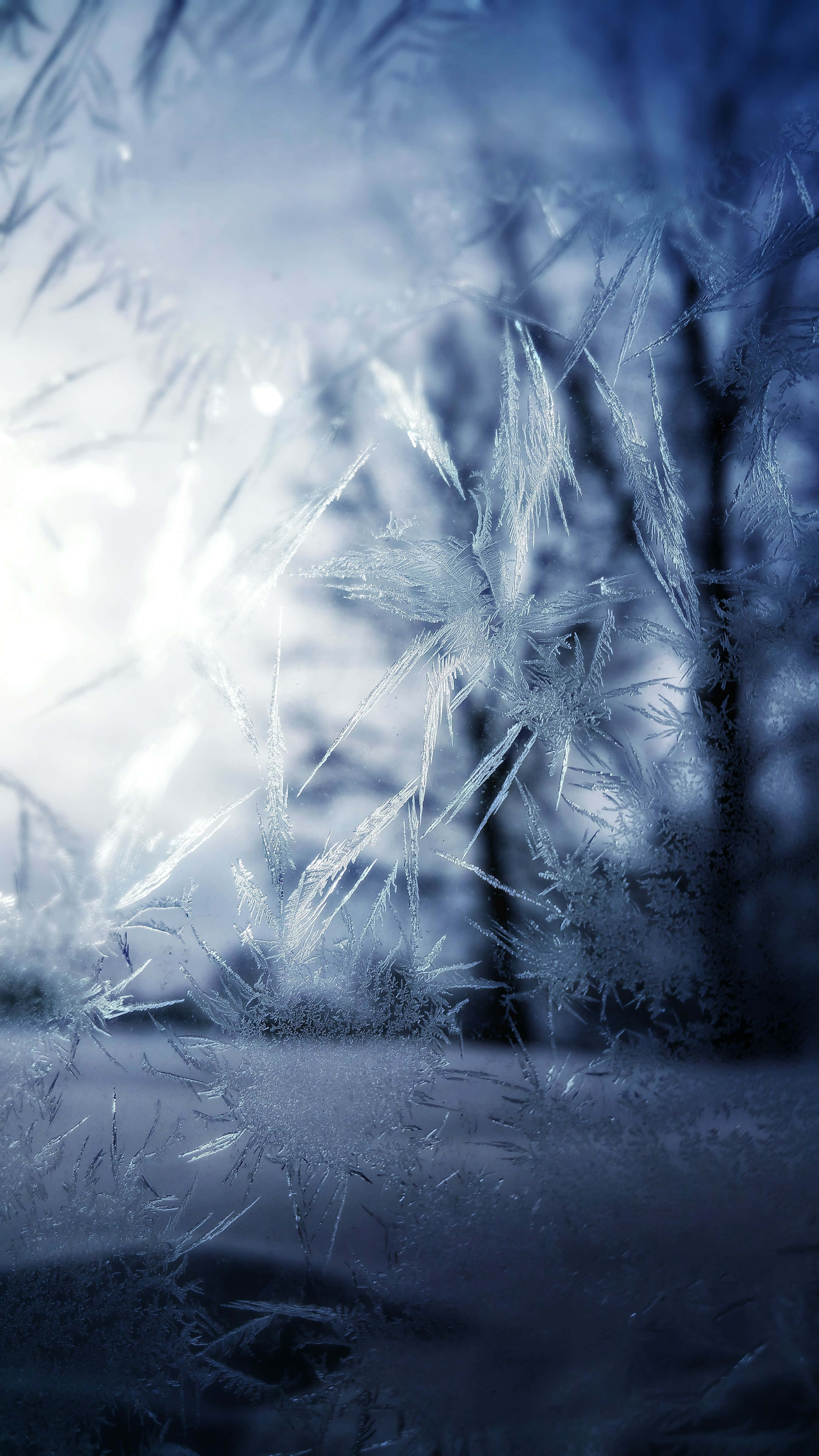 Winter Phone 桌布 壁紙 — 冰霜晶體在窗玻璃上閃爍，柔和冬日光線穿過雪森林背景。