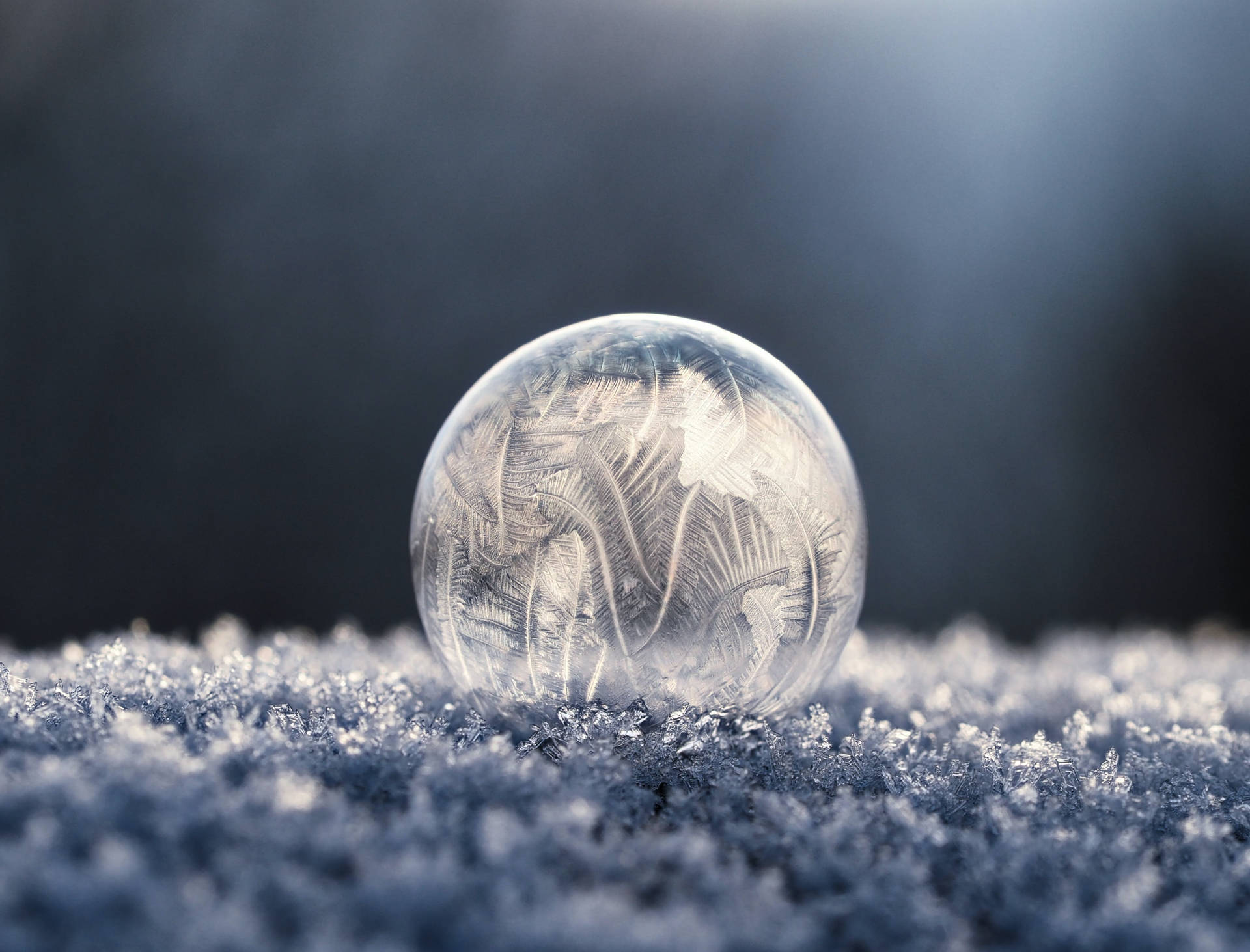 藍光下雪地上玻璃球體內的霜花圖案