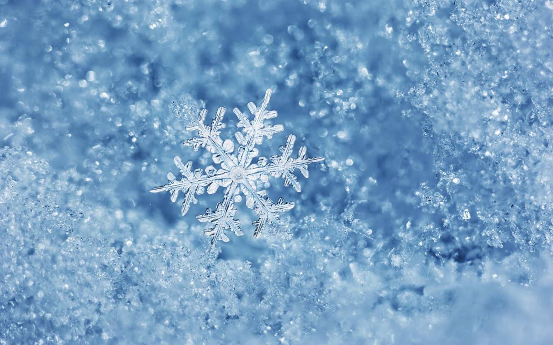 在冷藍色調的雪地上，細節清晰的雪花