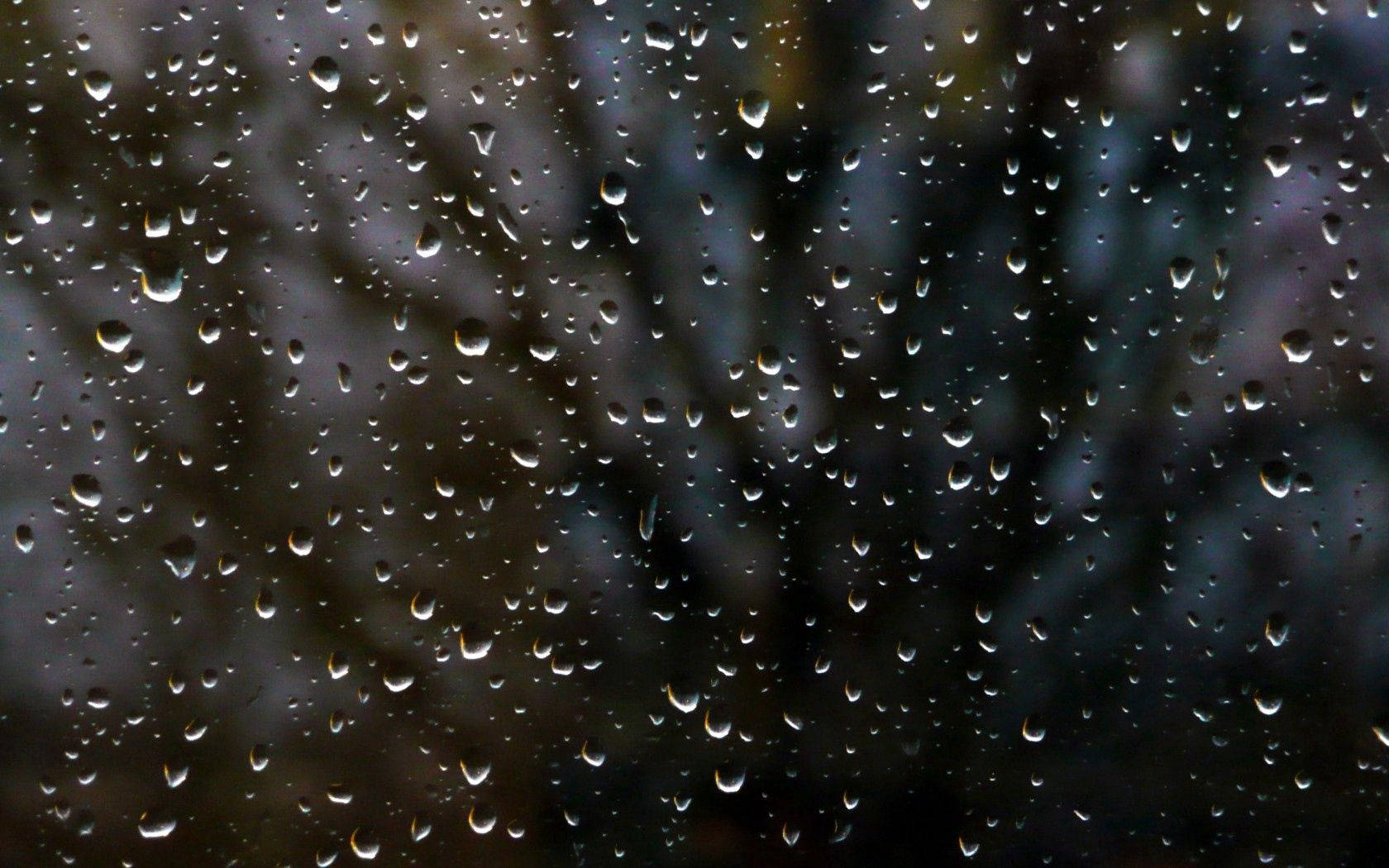 玻璃上的雨滴，背後有模糊的樹木剪影