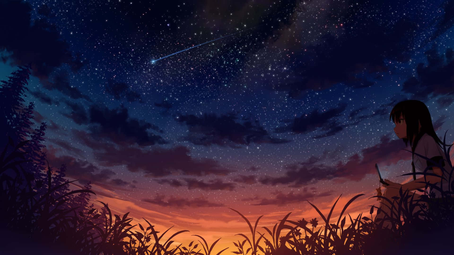 凝望繁星點綴的夜空之美 壁紙 — 一個孤獨的動畫女孩坐在高高的草叢中，凝視著劃過流星的美麗暮色天空。