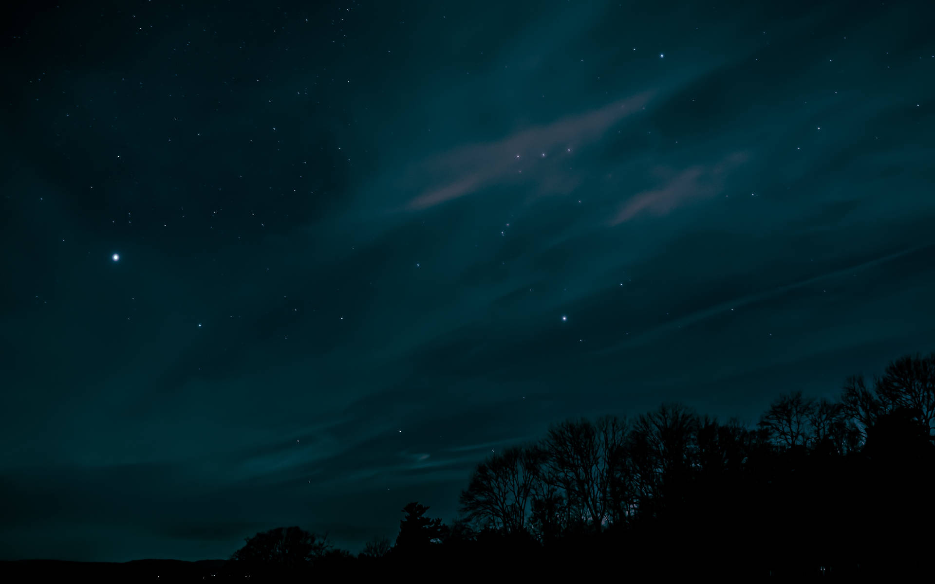 黑暗的天空，有星星和微弱極光，樹木剪影之上。