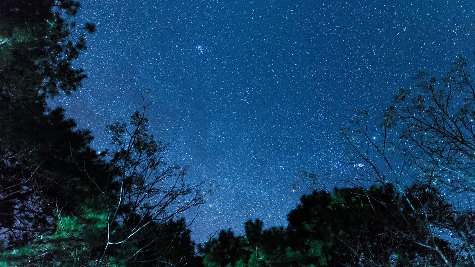 黑暗樹木框住星空夜空，樹葉發出綠色光芒。