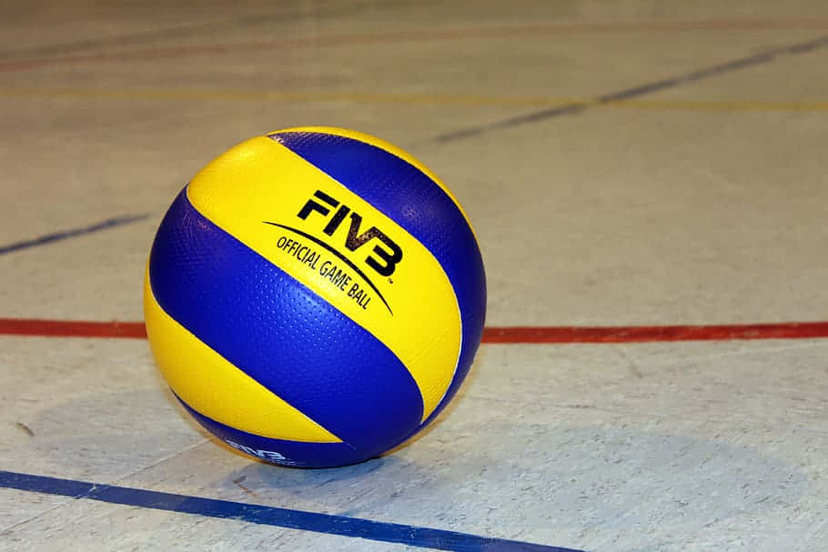 凝視排球的雙眼 壁紙 — 一個藍黃色的FIVB官方排球放在有標記的室內球場地板上。