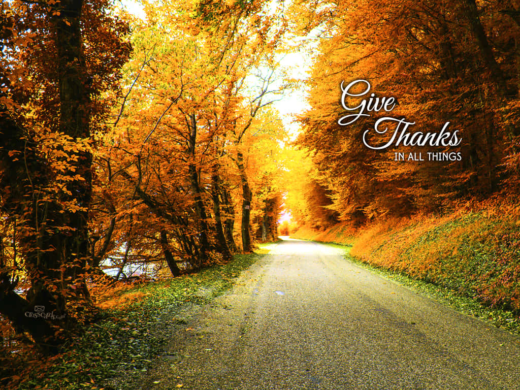 蜿蜒的道路穿過秋日森林，有金色樹葉和「Give Thanks」文字。