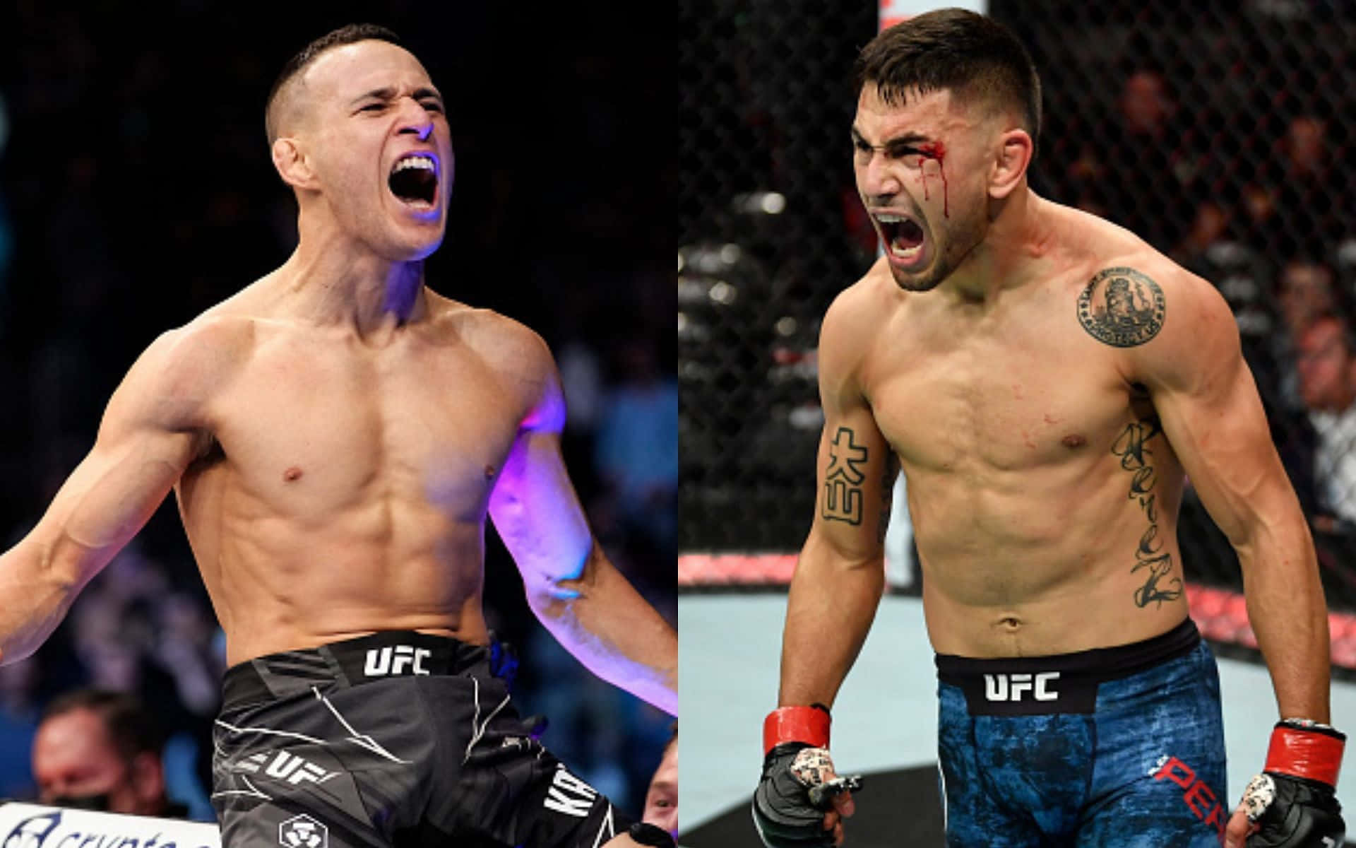 兩名MMA拳手在八角籠內臉上帶血慶祝勝利。