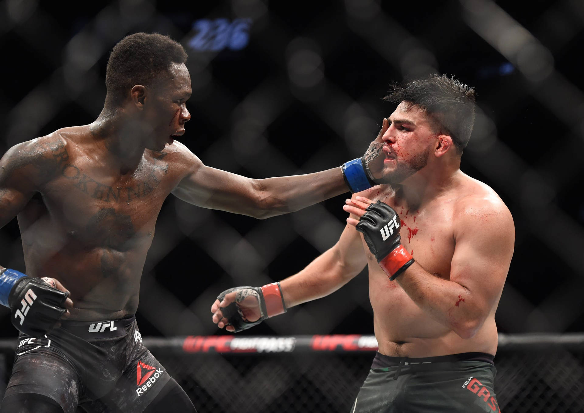 兩名MMA拳手在UFC八角籠內互相出拳，可見血跡。