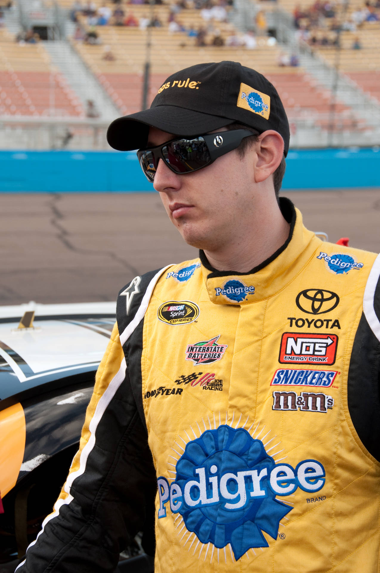 凱爾·布希身穿Pedigree西裝 壁紙 — 一位身穿黃色Pedigree賽車服的NASCAR車手站在賽道上他的賽車旁邊，背景有觀眾。