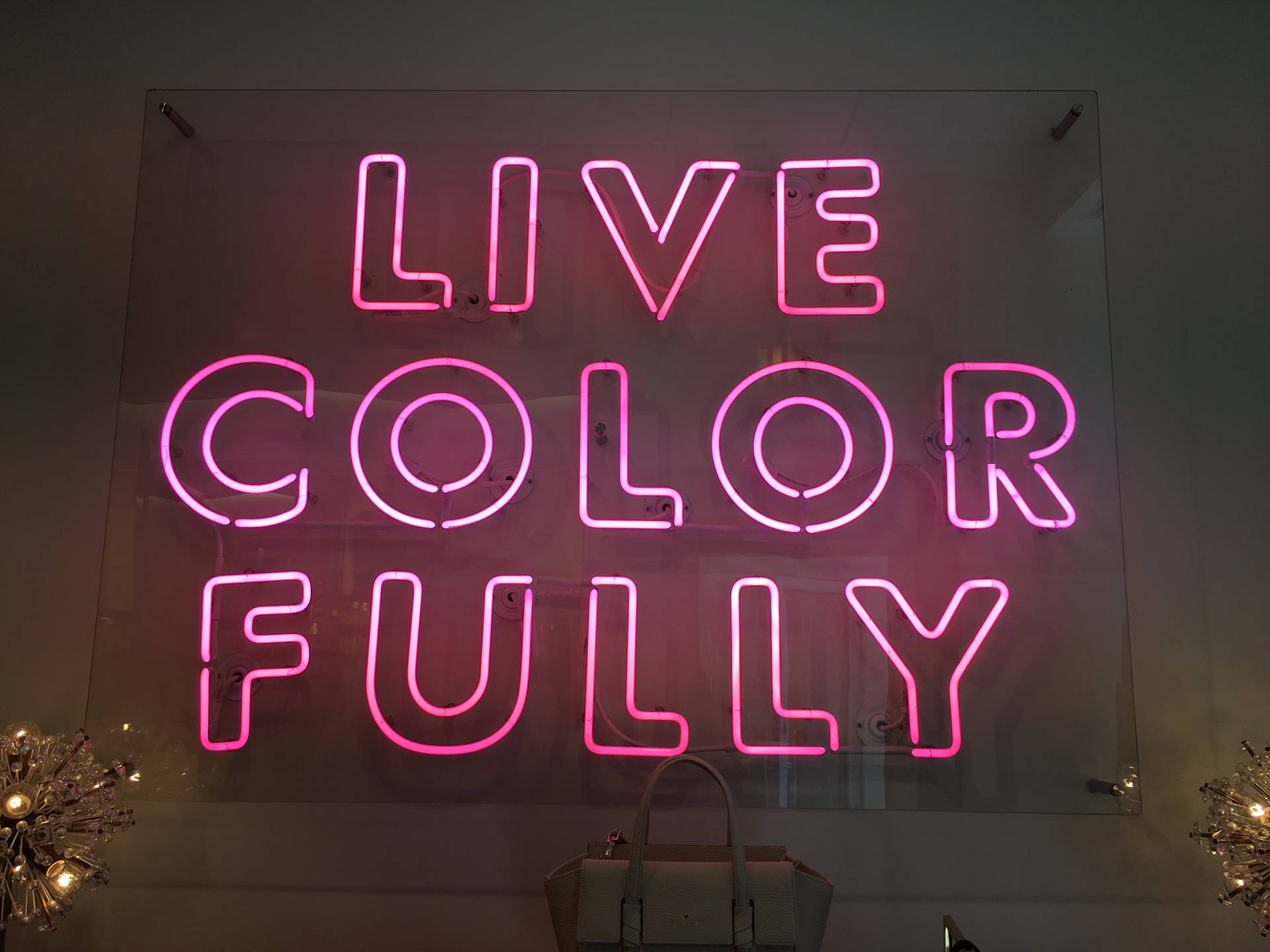 粉紅色霓虹燈牌寫著「Live Color Fully」在玻璃牆上，下方有裝飾燈和手袋。